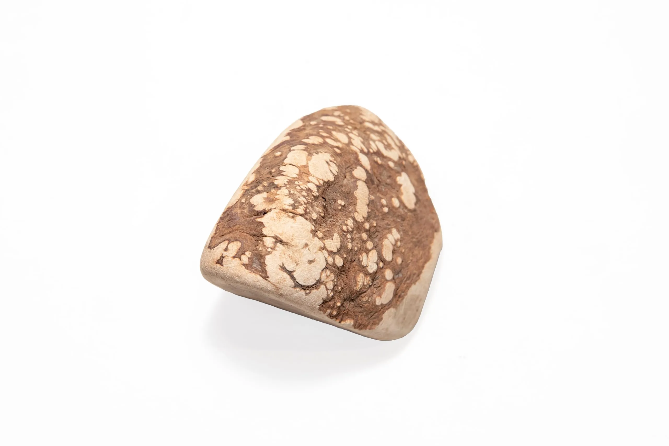 WoodWoof Radice di Erica Masticativo Naturale per Cani, Taglia M (15-25 kg) - immagine 1