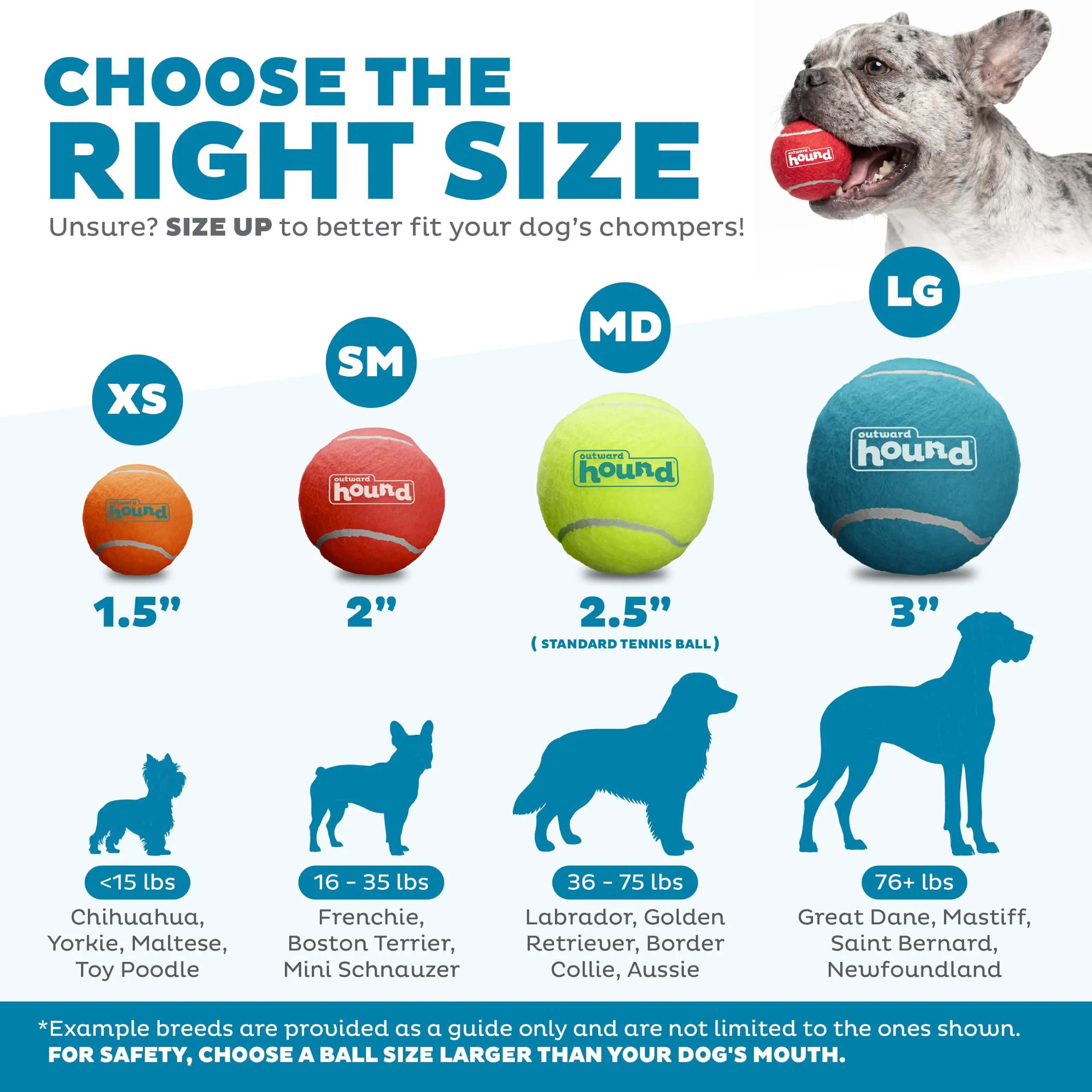 Outward Hound Squeaker Ballz, Palline con Suono per Cani, Small, 4 Pezzi - immagine 3