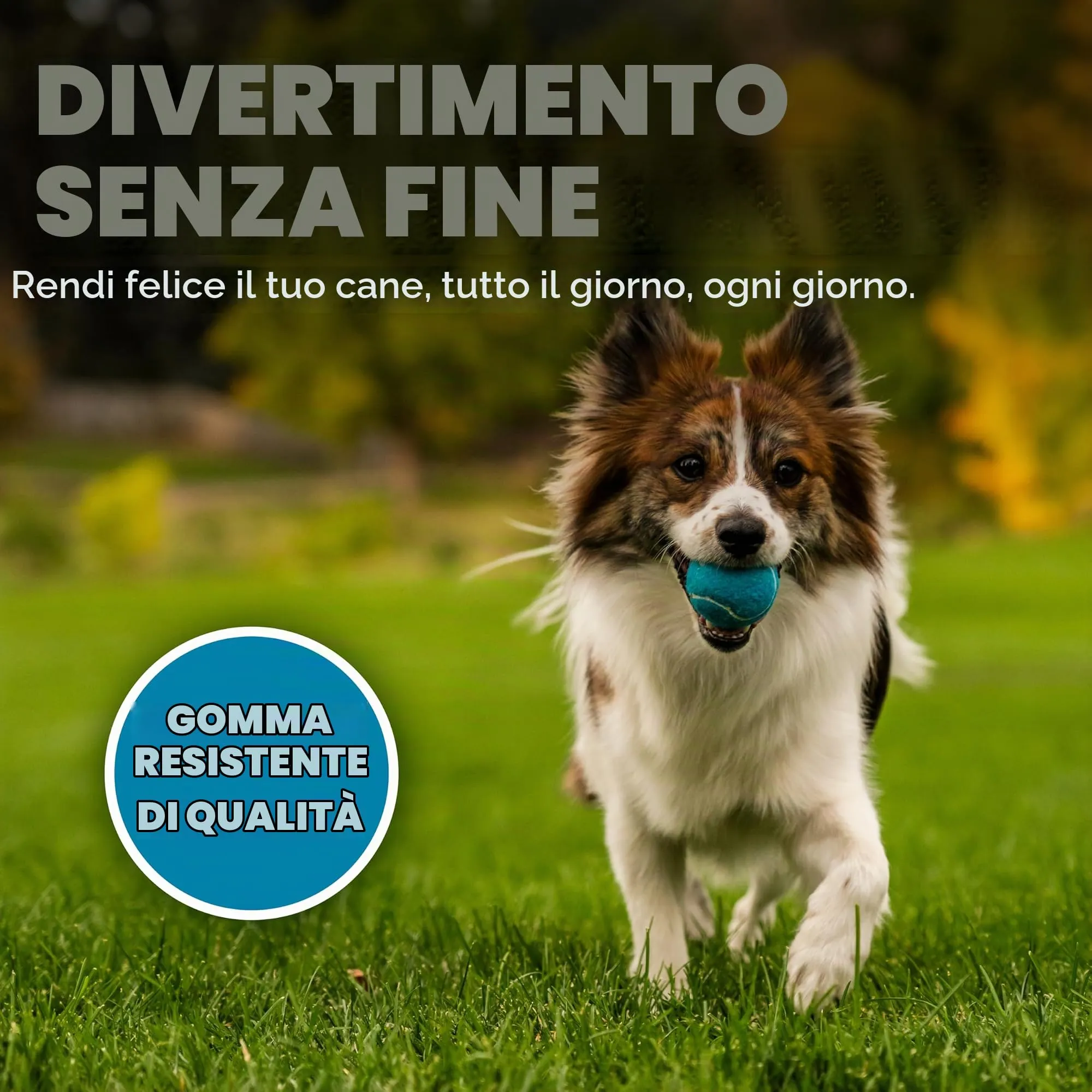 Outward Hound Squeaker Ballz, Palline con Suono per Cani, Small, 4 Pezzi - immagine 4