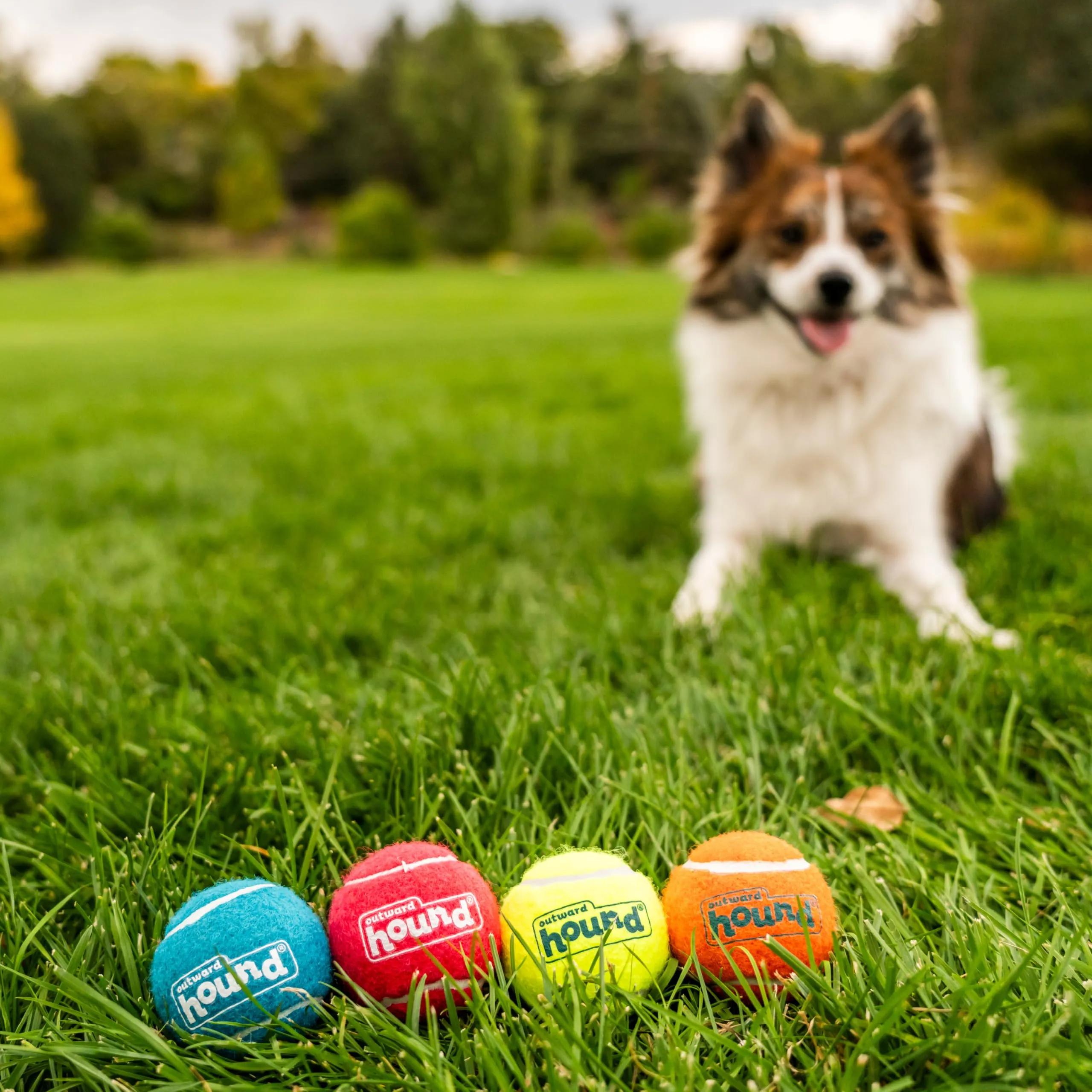 Outward Hound Squeaker Ballz, Palline con Suono per Cani, Small, 4 Pezzi - immagine 5