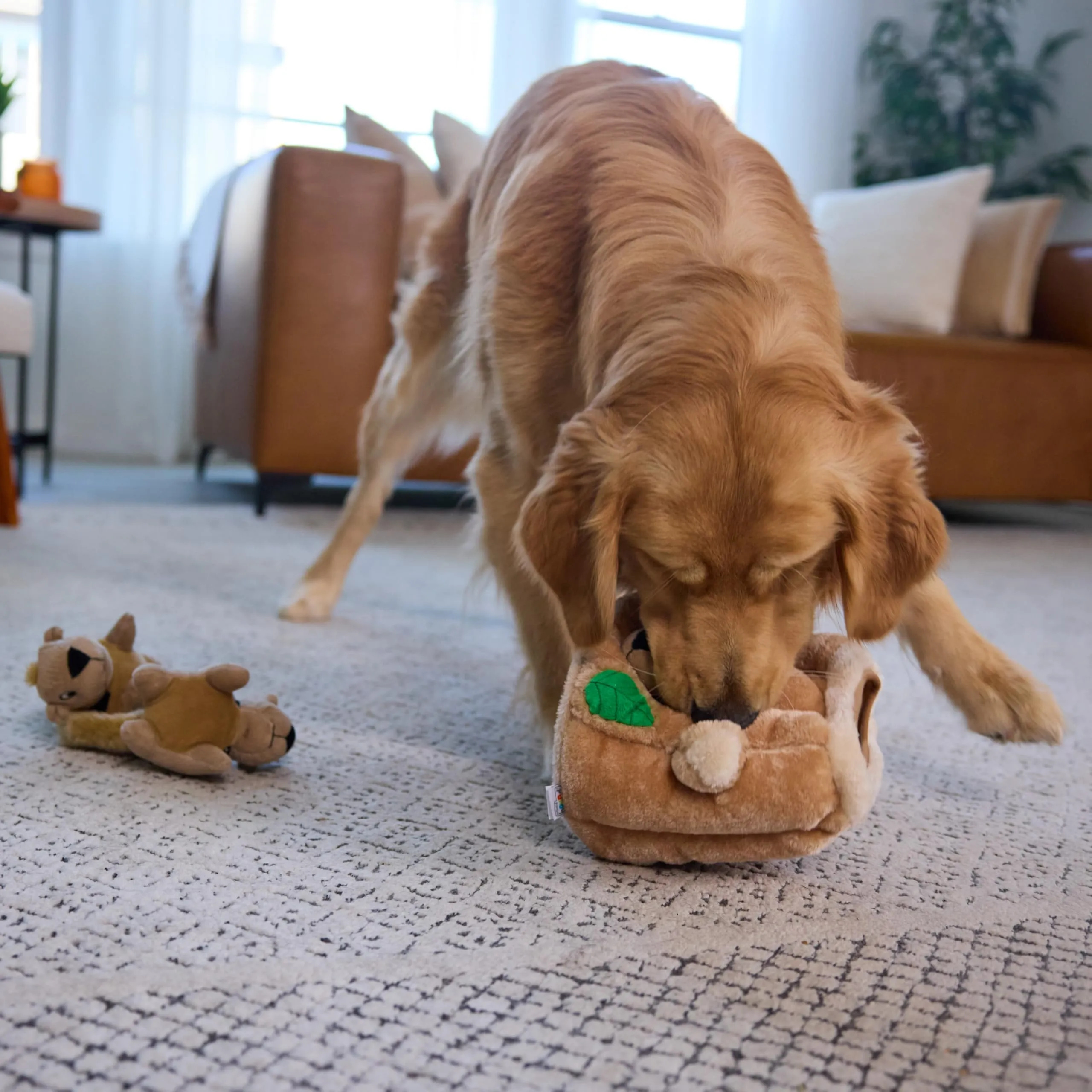 Outward Hound Hide A Squirrel Puzzle Toy for Dogs, Large - immagine 7