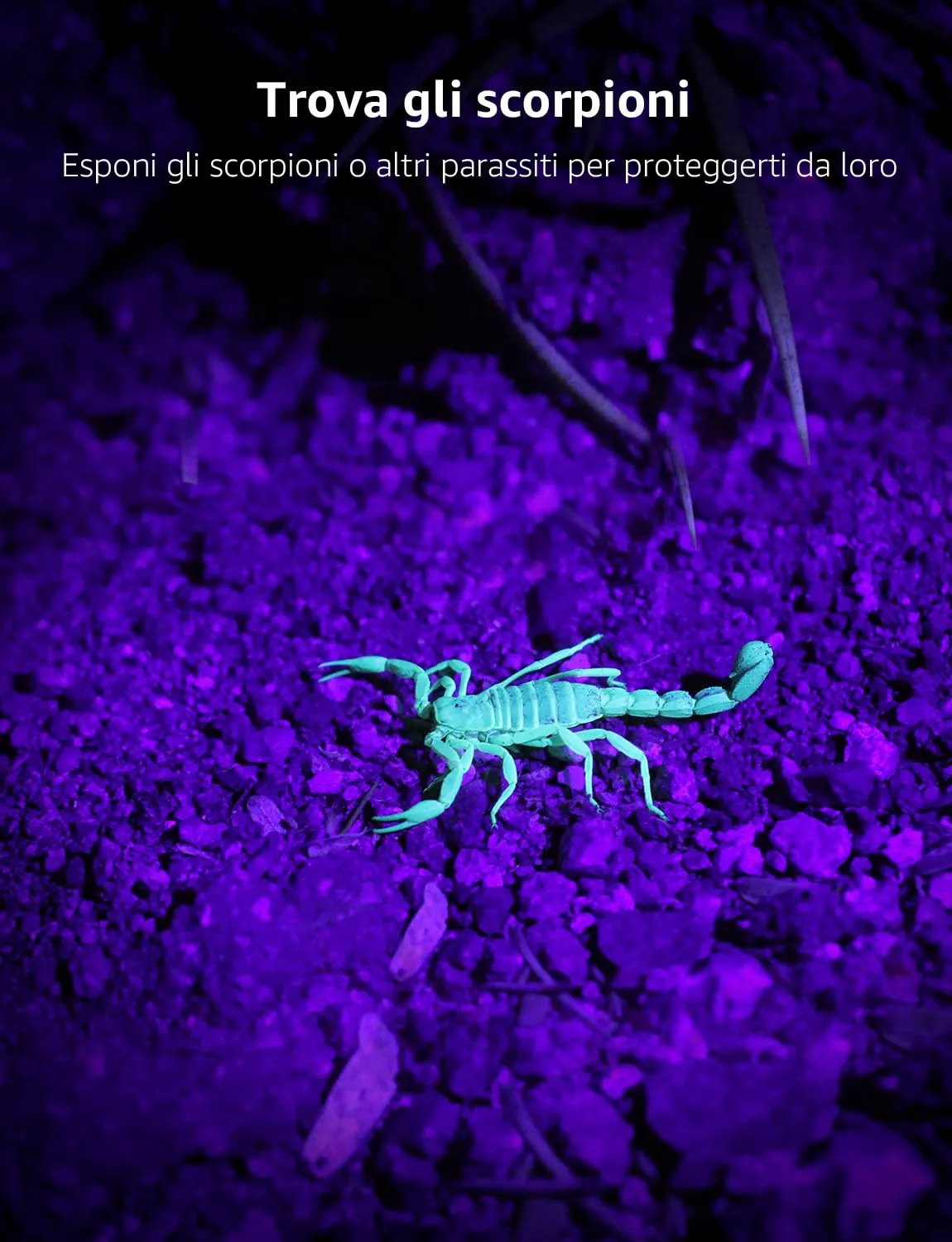 Lepro Torcia UV LED 395 nm, Lampada Ultravioletti in Metallo con 9 LED, IPX4 Impermeabile, incluse 3 Batterie AAA - immagine 6