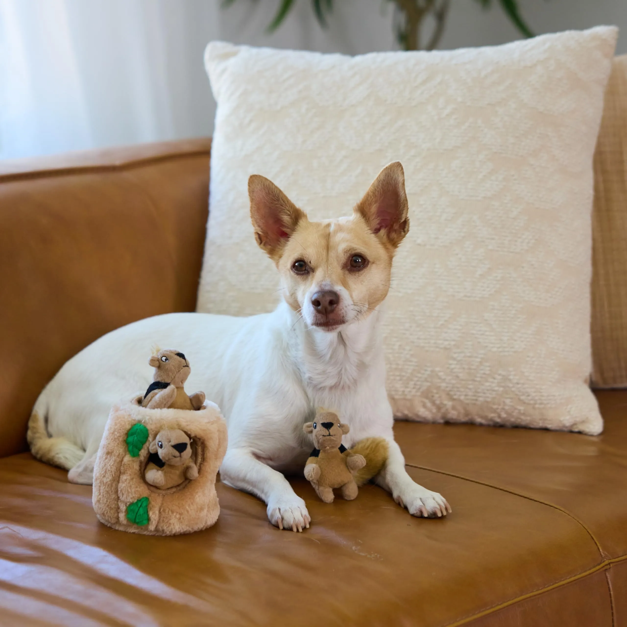 Outward Hound Squeakin' Squirrels Replacement Plush Dog Toys, 3 Pieces - immagine 5