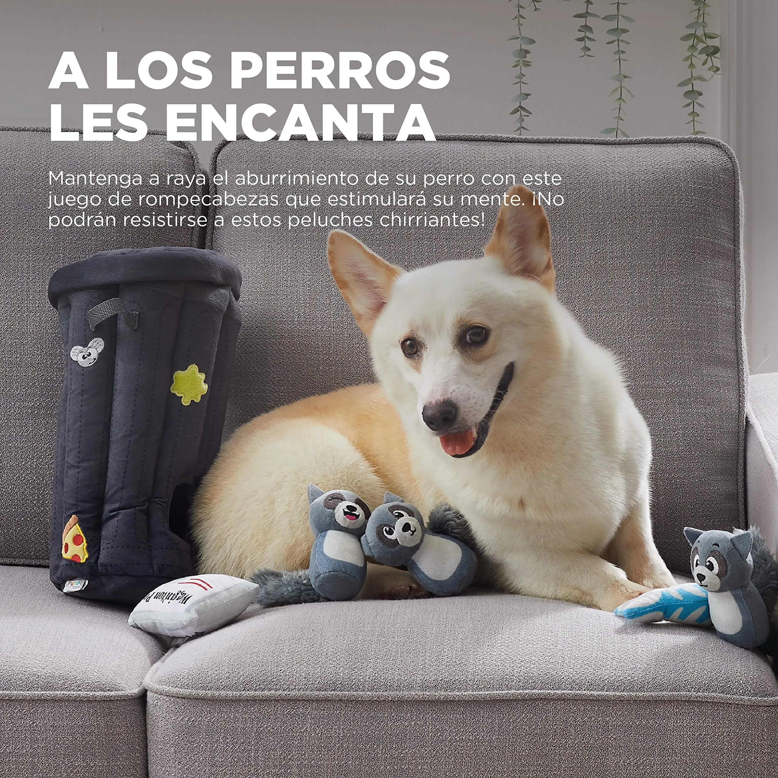 Outward Hound Hide a Raccoon Dog Puzzle Toy - immagine 2