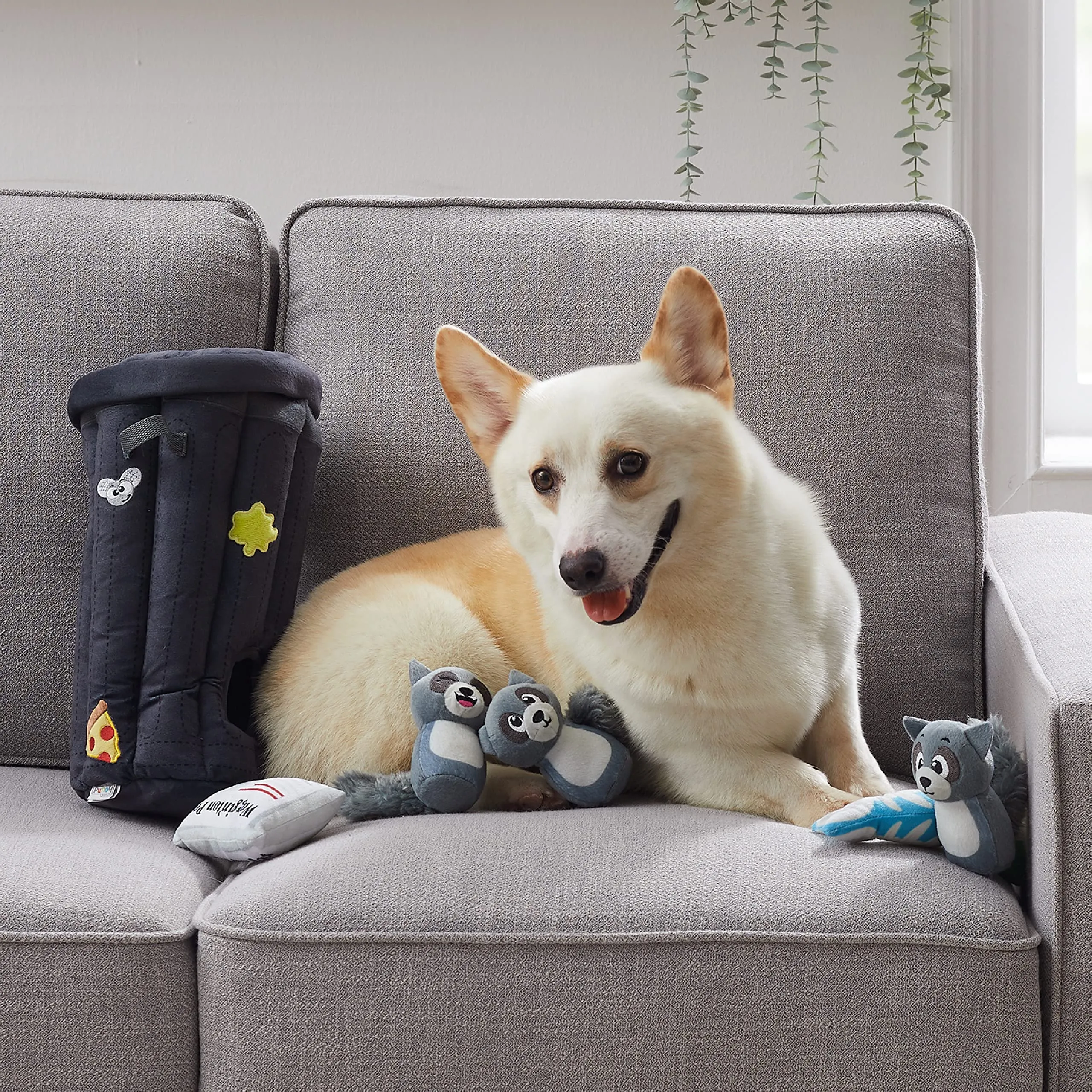 Outward Hound Hide a Raccoon Dog Puzzle Toy - immagine 6