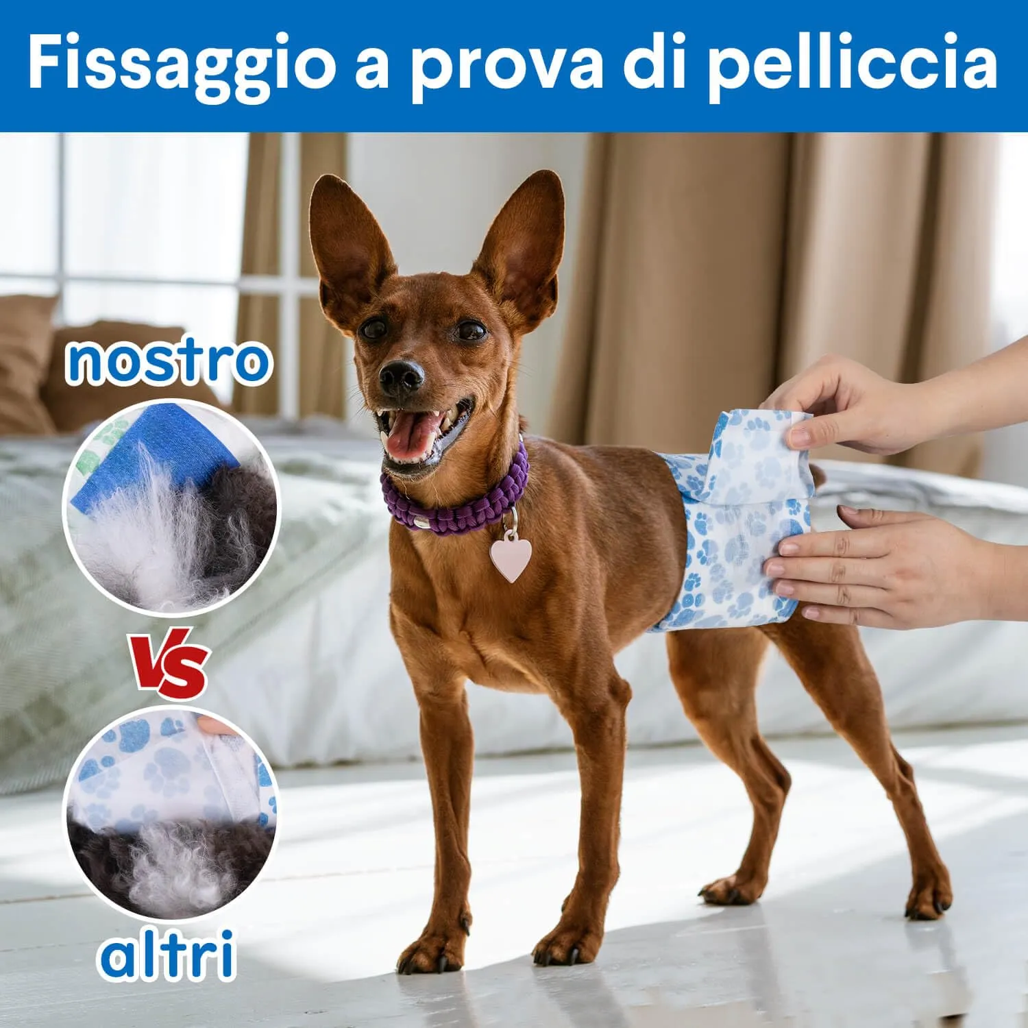 Dono Pannolini per cani maschi, 40 pezzi, XS - immagine 5