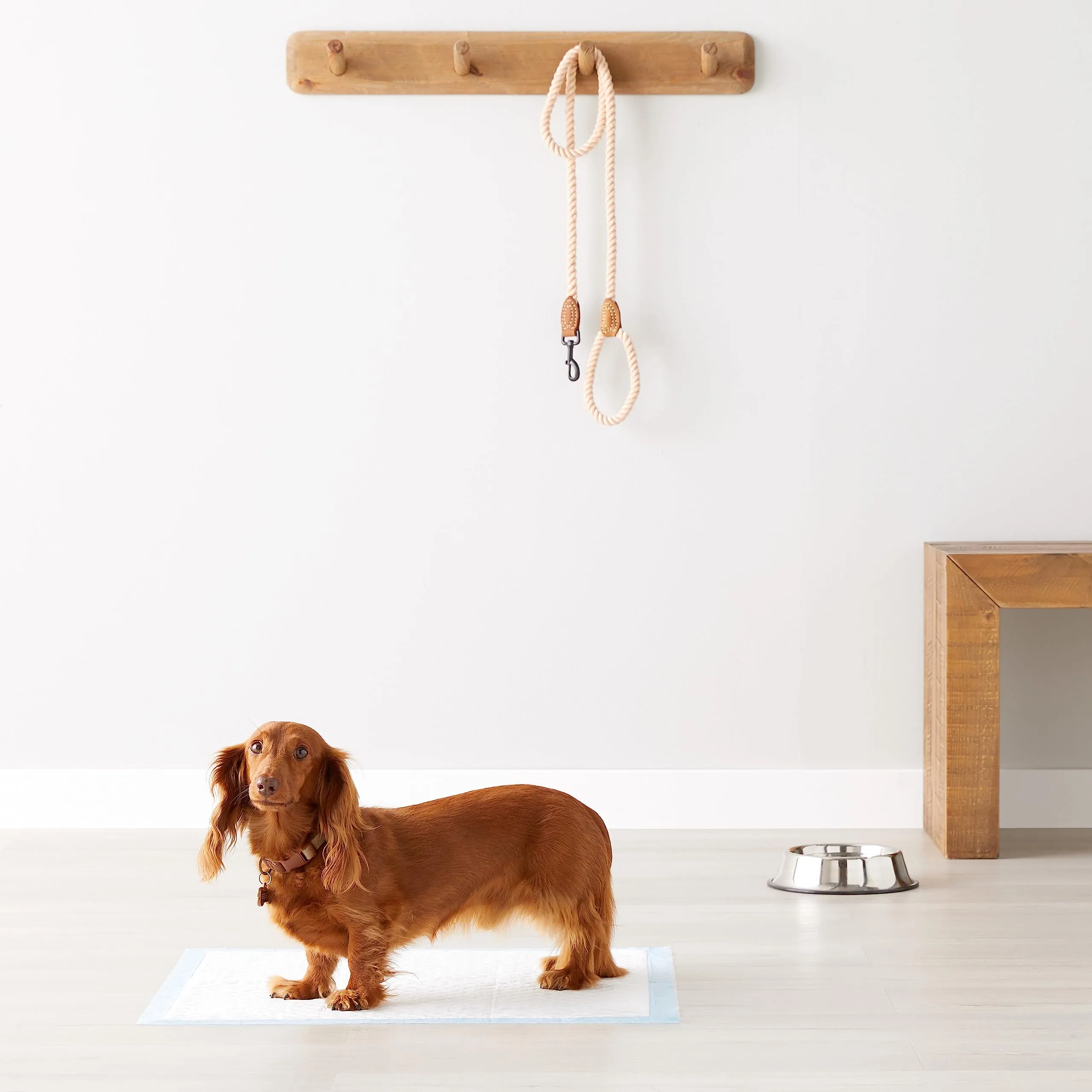 Amazon Basics Tappetini per Addestramento Cani e Cuccioli, Dimensione Standard, Blu, Confezione da 20 - immagine 7