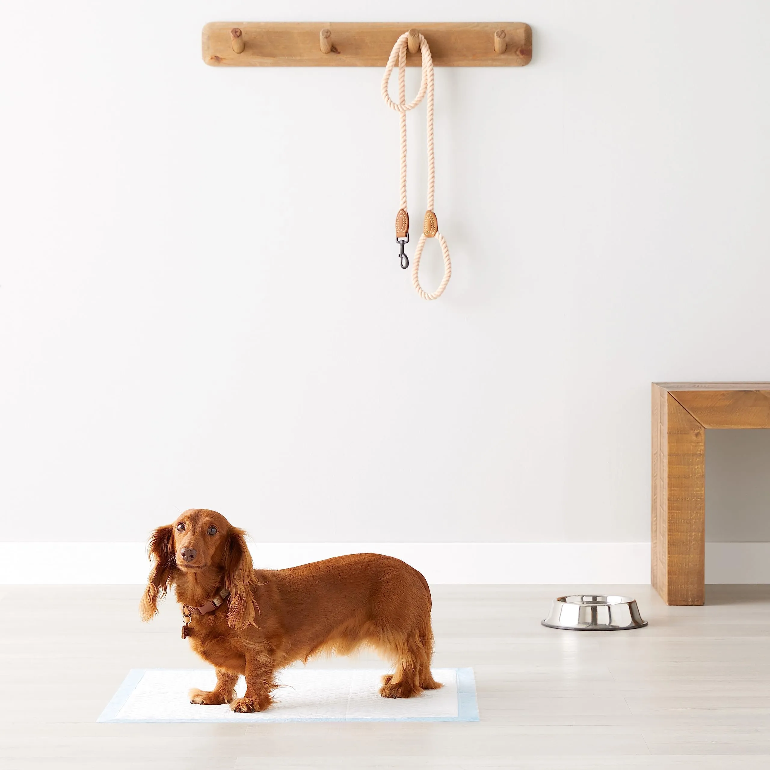 Amazon Basics Tappetini per addestramento cani e cuccioli, a prova di perdite, dimensione standard, confezione da 80, Blu - immagine 6