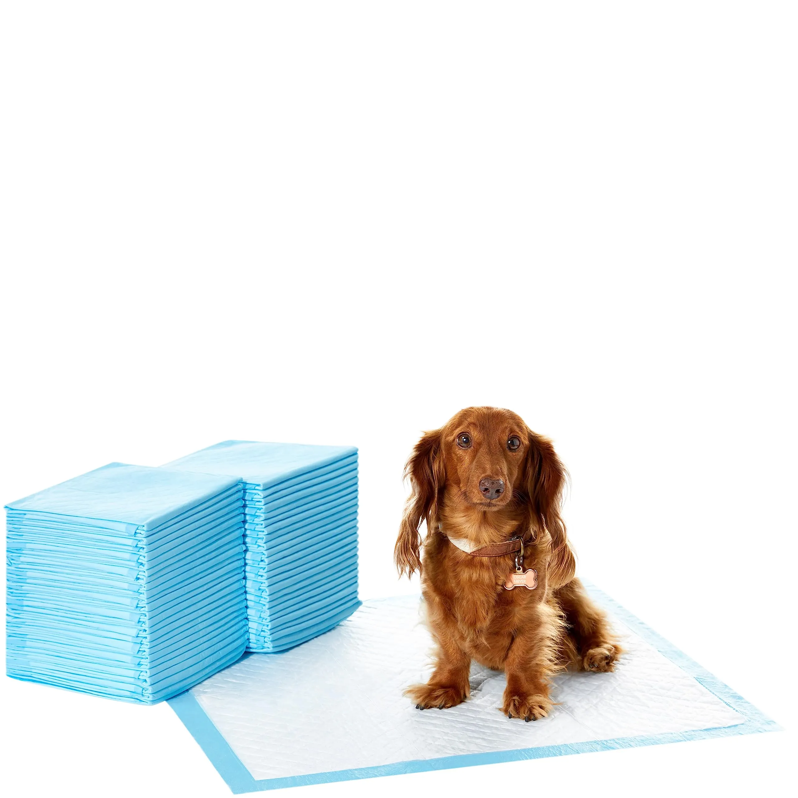 Amazon Basics Tappetini per l'addestramento di cani e cuccioli, Dimensione Standard, Blu, Confezione da 50 - immagine 1