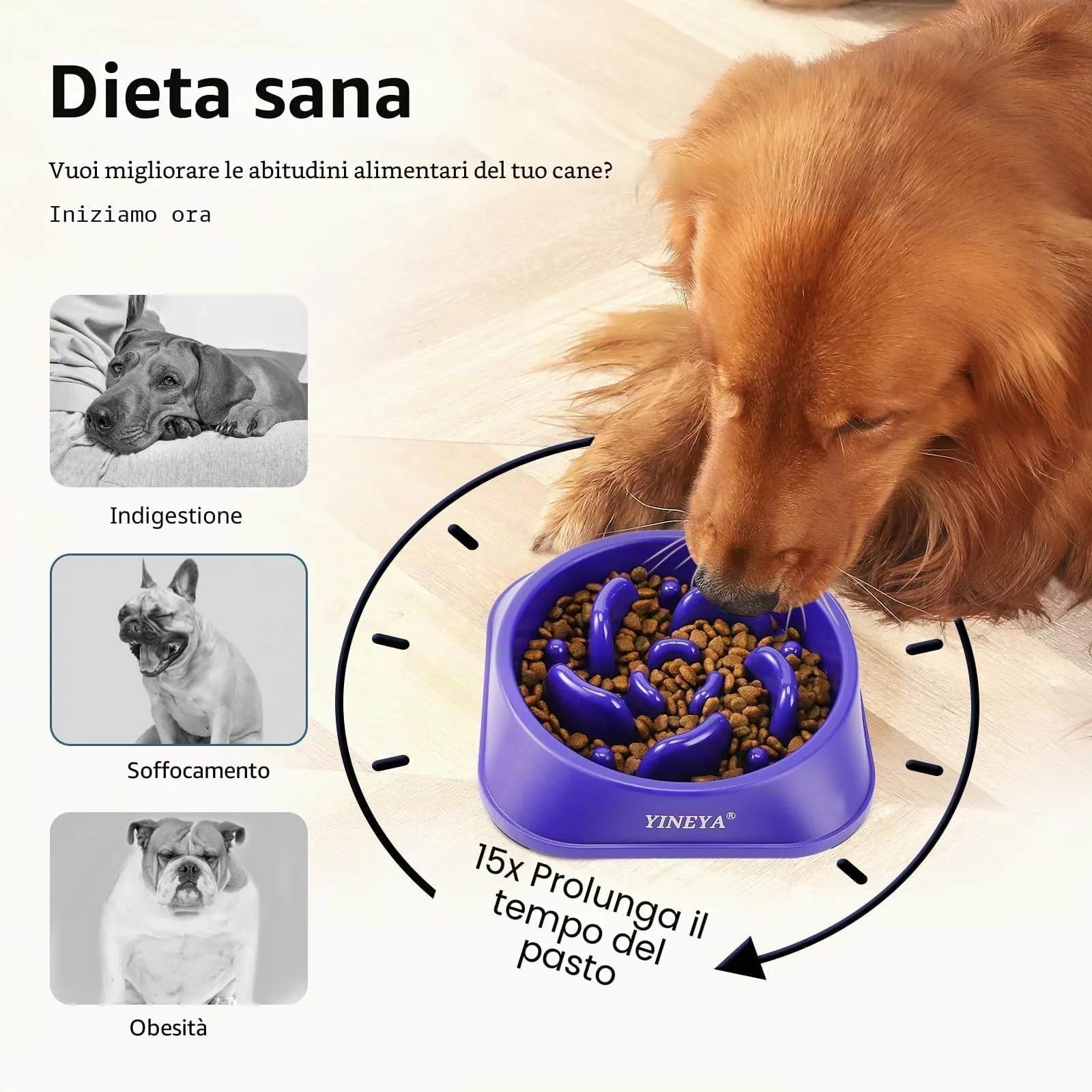 YINEYA Ciotola Anti Ingozzamento per Cani, 1 Pezzo - immagine 3