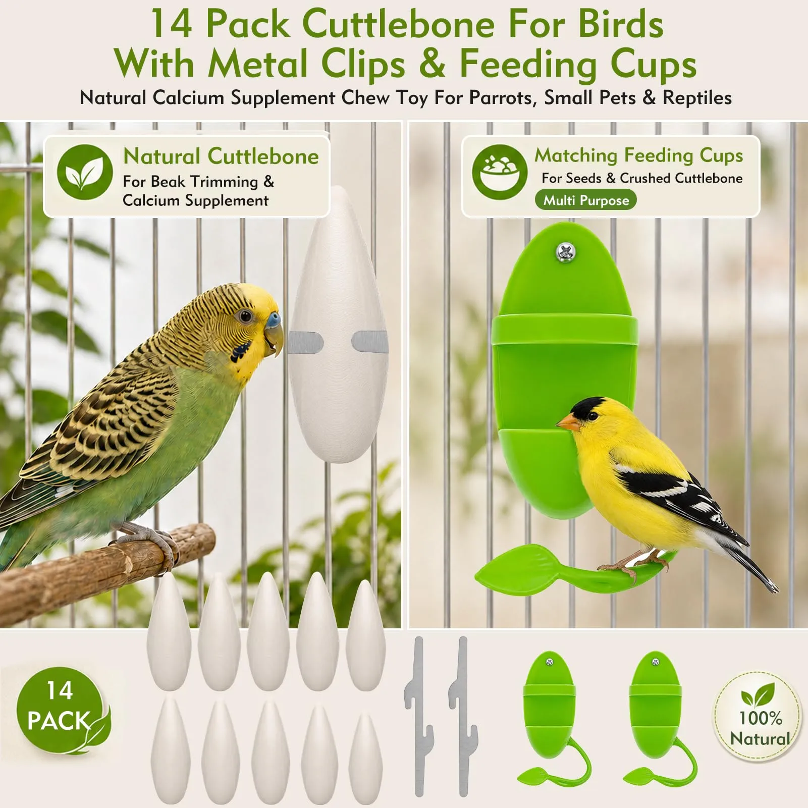 Ourdort Osso di Seppia Naturale 8-12 cm, 10 Pezzi con 2 Supporti - immagine 3