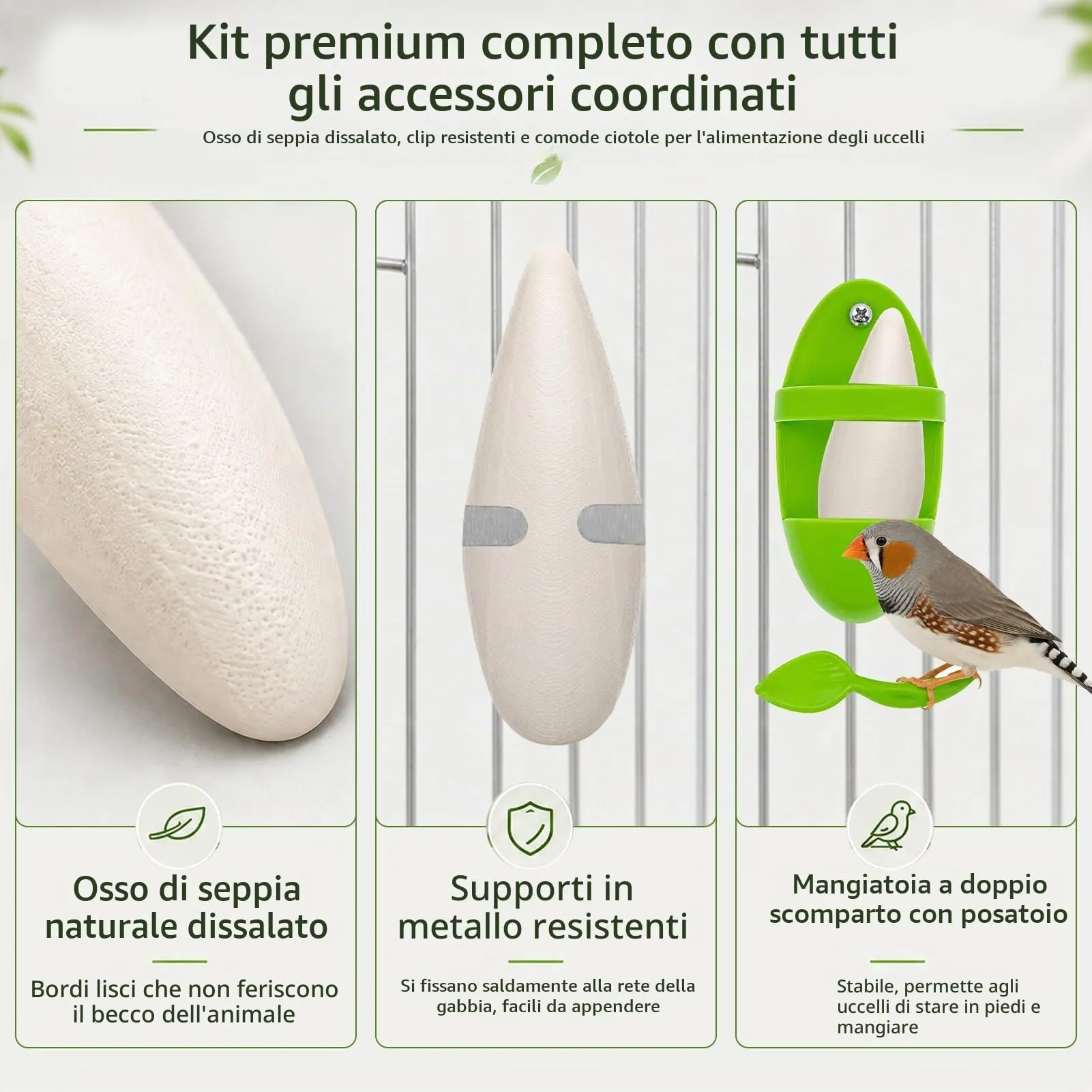 Ourdort Osso di Seppia Naturale 8-12 cm, 10 Pezzi con 2 Supporti - immagine 4
