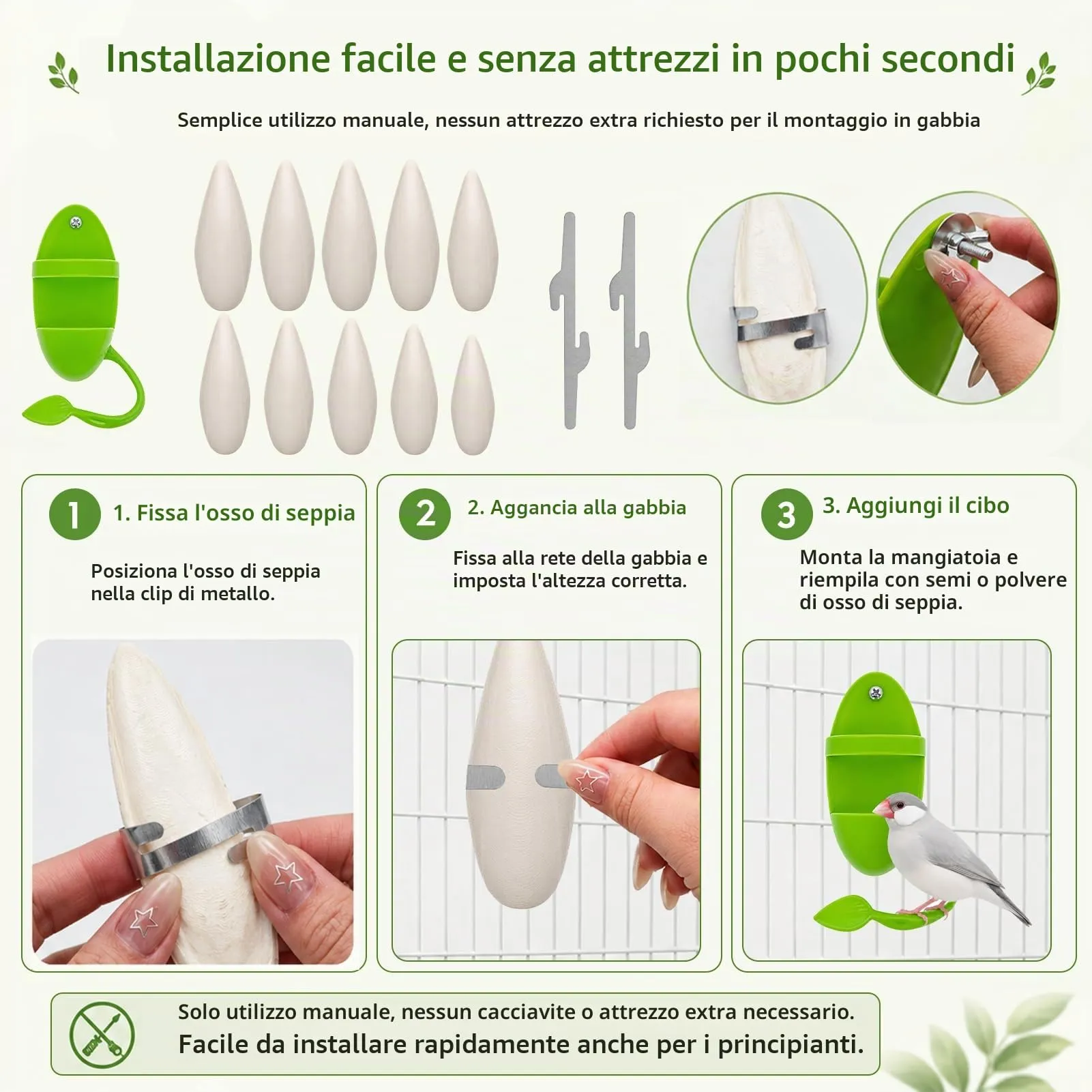 Ourdort Osso di Seppia Naturale 8-12 cm, 10 Pezzi con 2 Supporti - immagine 5