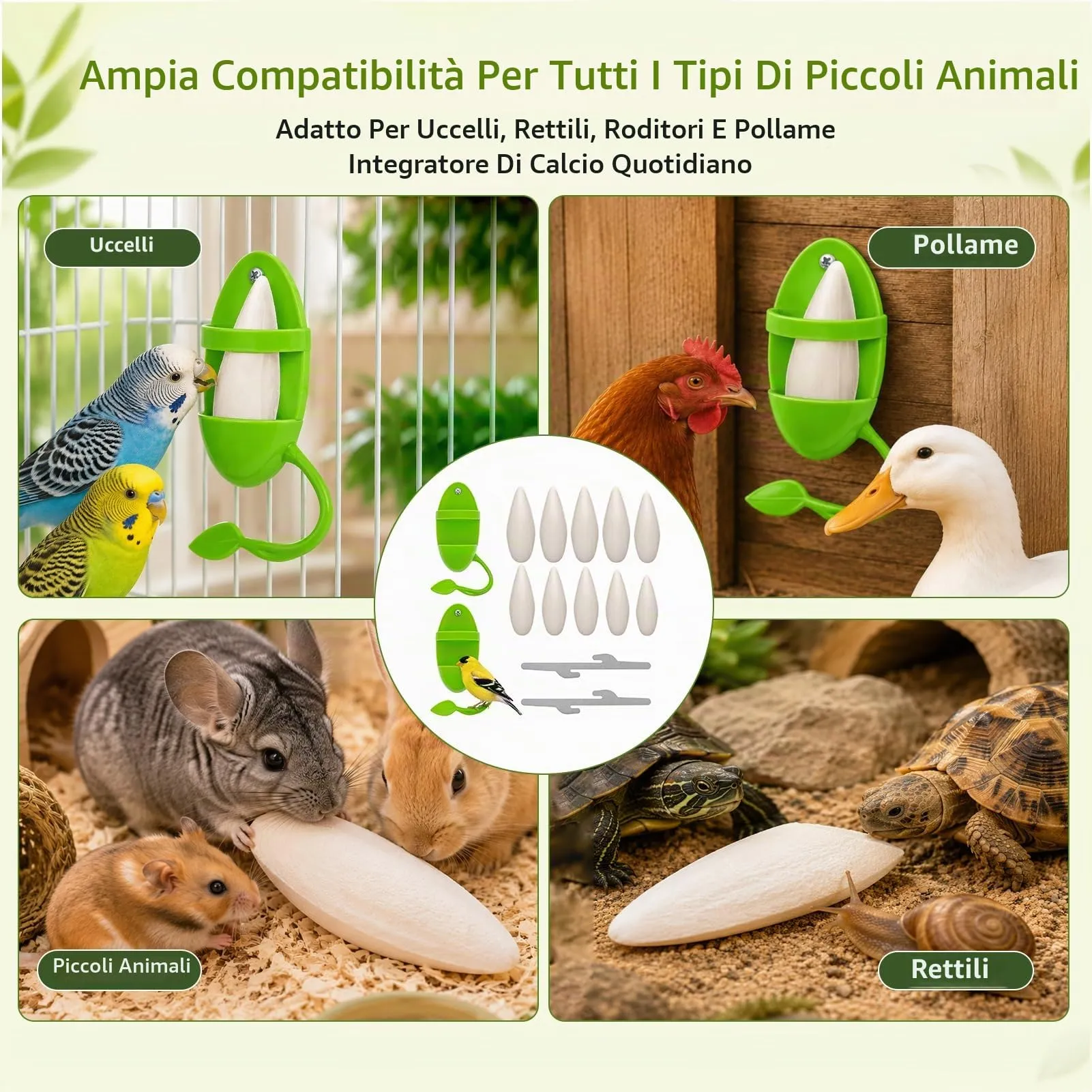 Ourdort Osso di Seppia Naturale 8-12 cm, 10 Pezzi con 2 Supporti - immagine 7