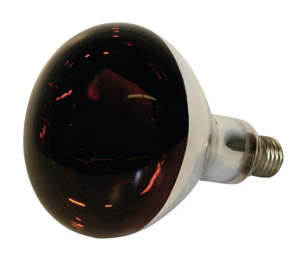 Kerbl Kit Lampada a Raggi Infrarossi Riscaldante 250W con Riflettore, Griglia di Protezione, Catena di Fissaggio e Cavo da 2.5m - immagine 3
