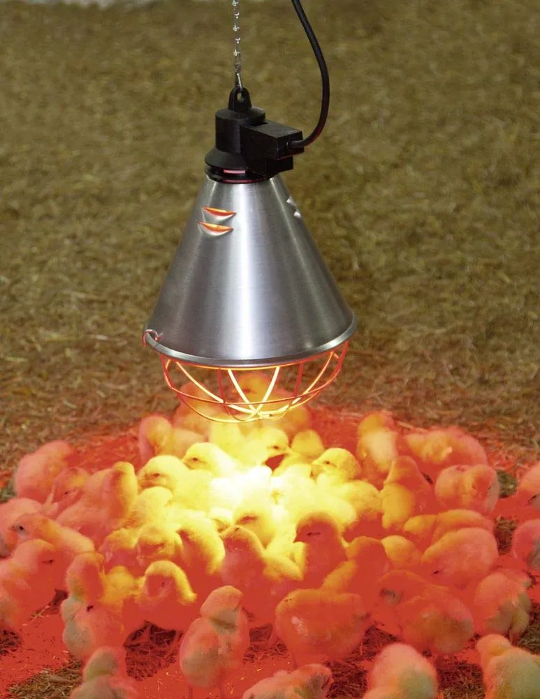 Kerbl Kit Lampada a Raggi Infrarossi Riscaldante 250W con Riflettore, Griglia di Protezione, Catena di Fissaggio e Cavo da 2.5m - immagine 4