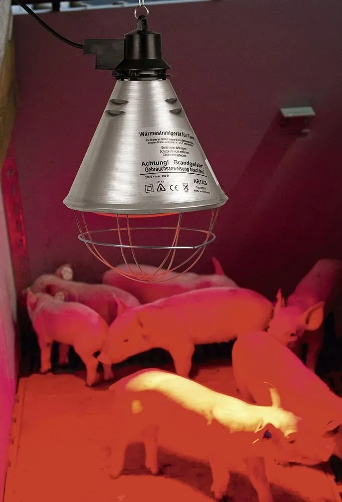 Kerbl Kit Lampada a Raggi Infrarossi Riscaldante 250W con Riflettore, Griglia di Protezione, Catena di Fissaggio e Cavo da 2.5m - immagine 5