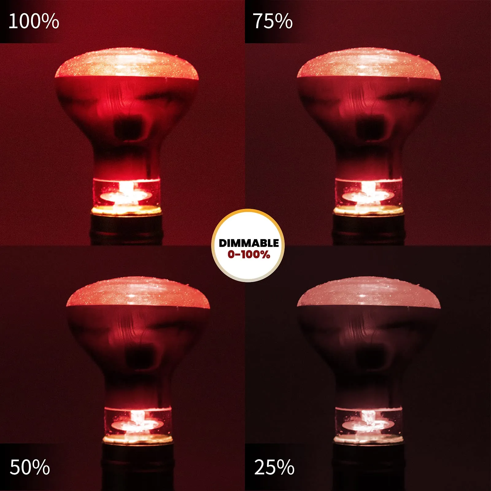 Bonlux Lampada di Calore a Infrarossi 50W E27 R63 Dimmerabile, Luce Rossa UVA+UVB per Rettili, Anfibi e Tartarughe (2Pcs) - immagine 3