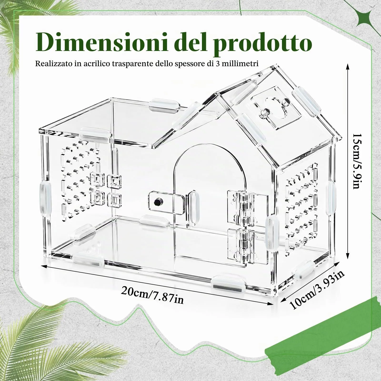 Dokpav Terrario in Acrilico per Ragni Saltatori e Insetti - immagine 3
