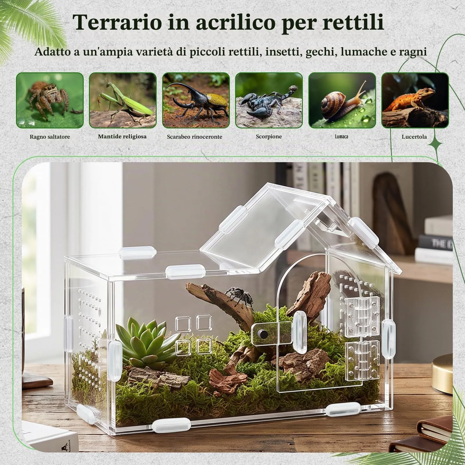 Dokpav Terrario in Acrilico per Ragni Saltatori e Insetti - immagine 4