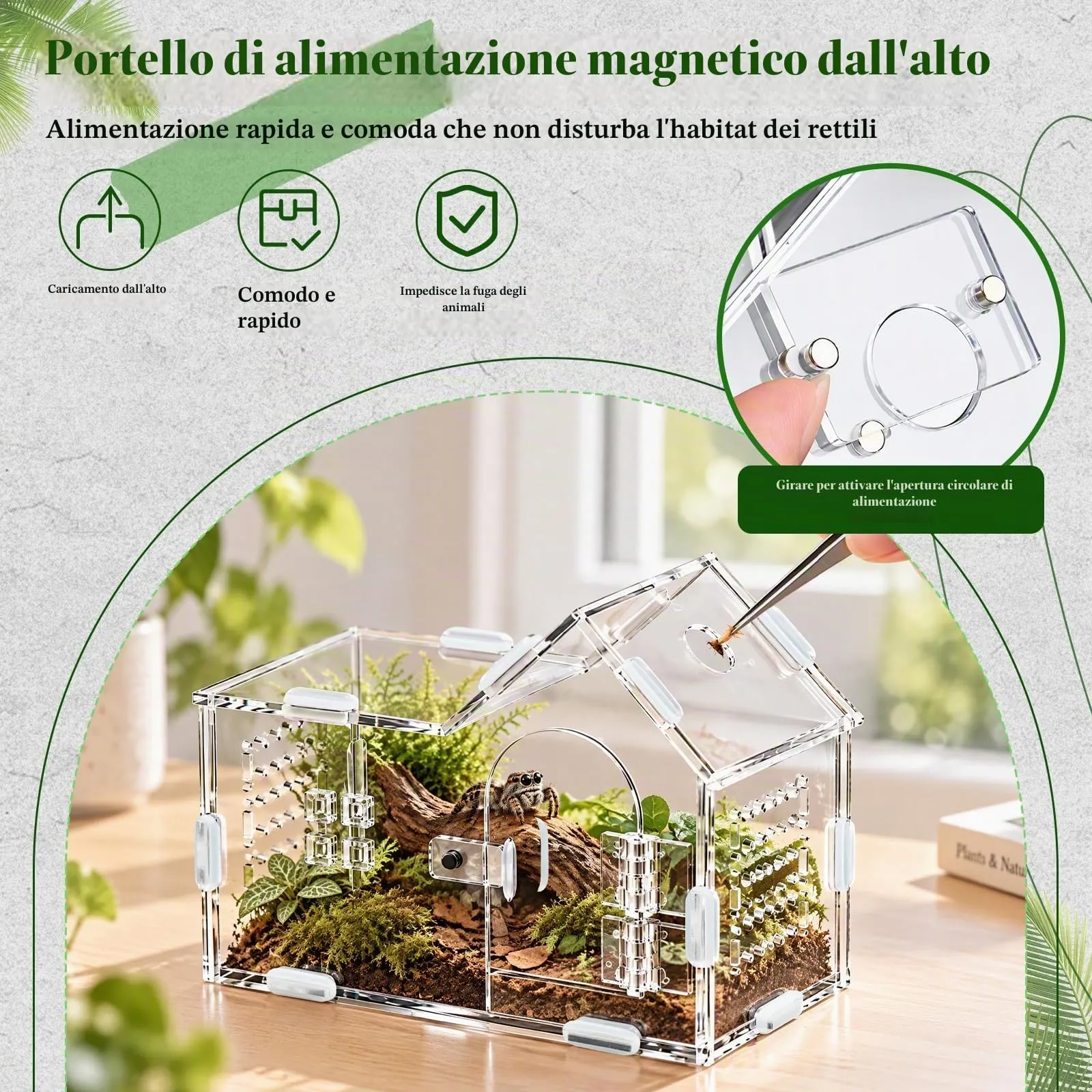 Dokpav Terrario in Acrilico per Ragni Saltatori e Insetti - immagine 5