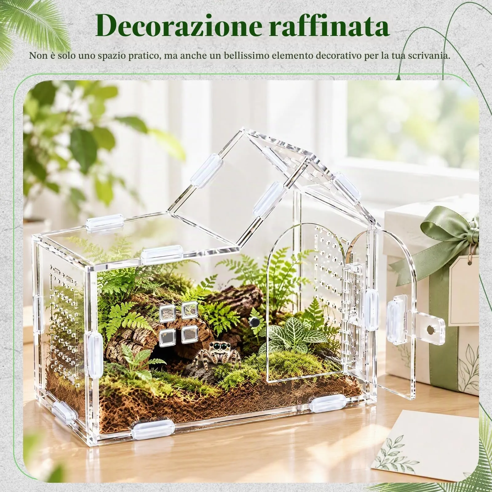 Dokpav Terrario in Acrilico per Ragni Saltatori e Insetti - immagine 6