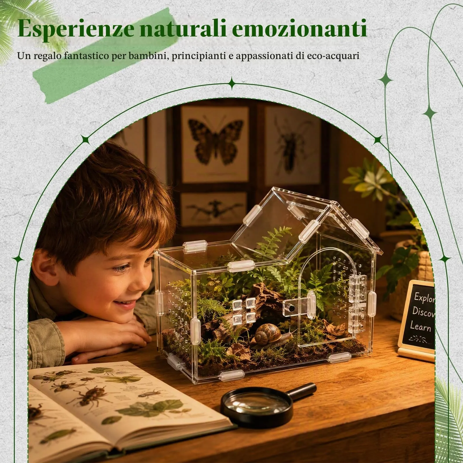 Dokpav Terrario in Acrilico per Ragni Saltatori e Insetti - immagine 7