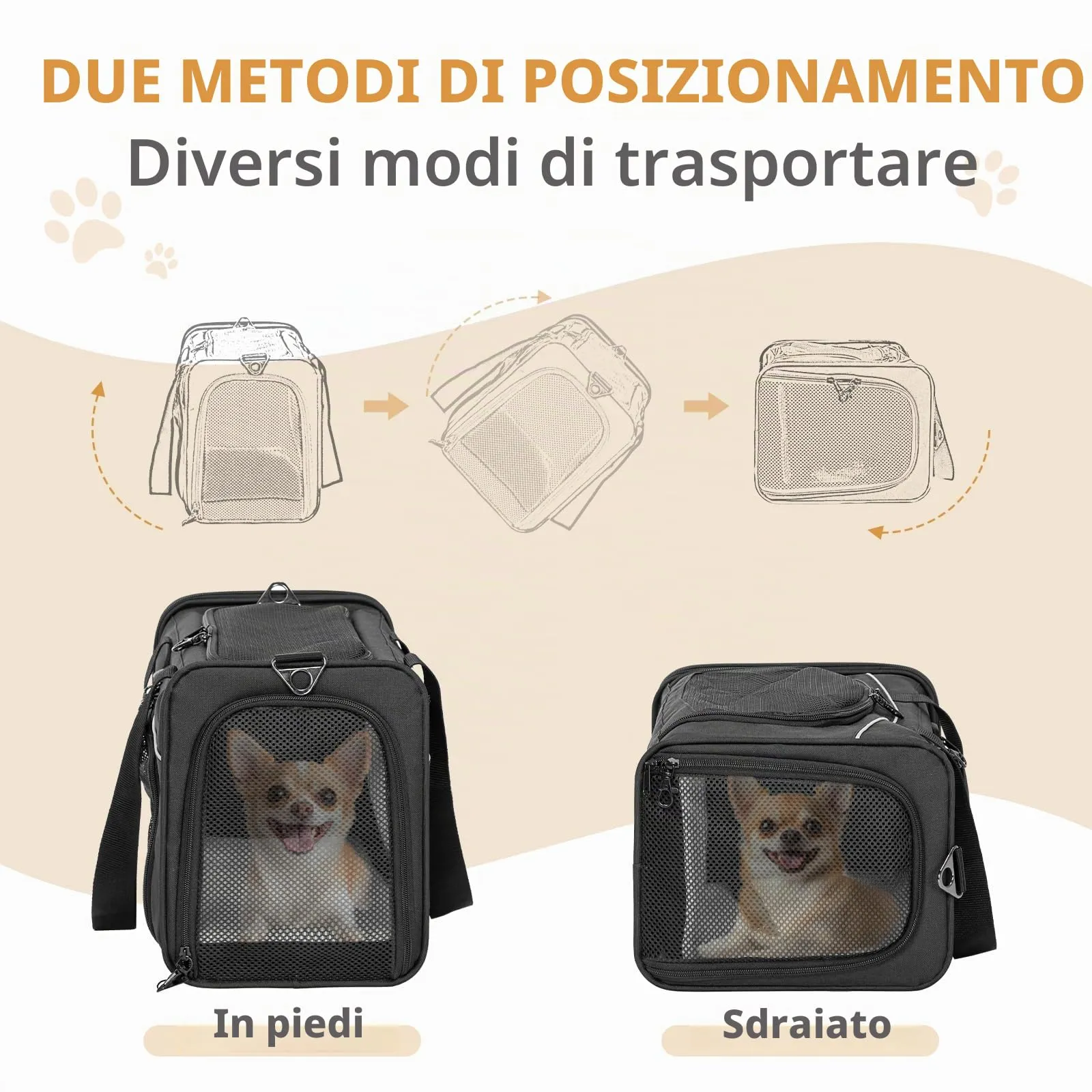 Petsfit Trasportino per gatti e cani di piccola taglia, pieghevole, approvato dalla compagnia aerea, nero - immagine 2