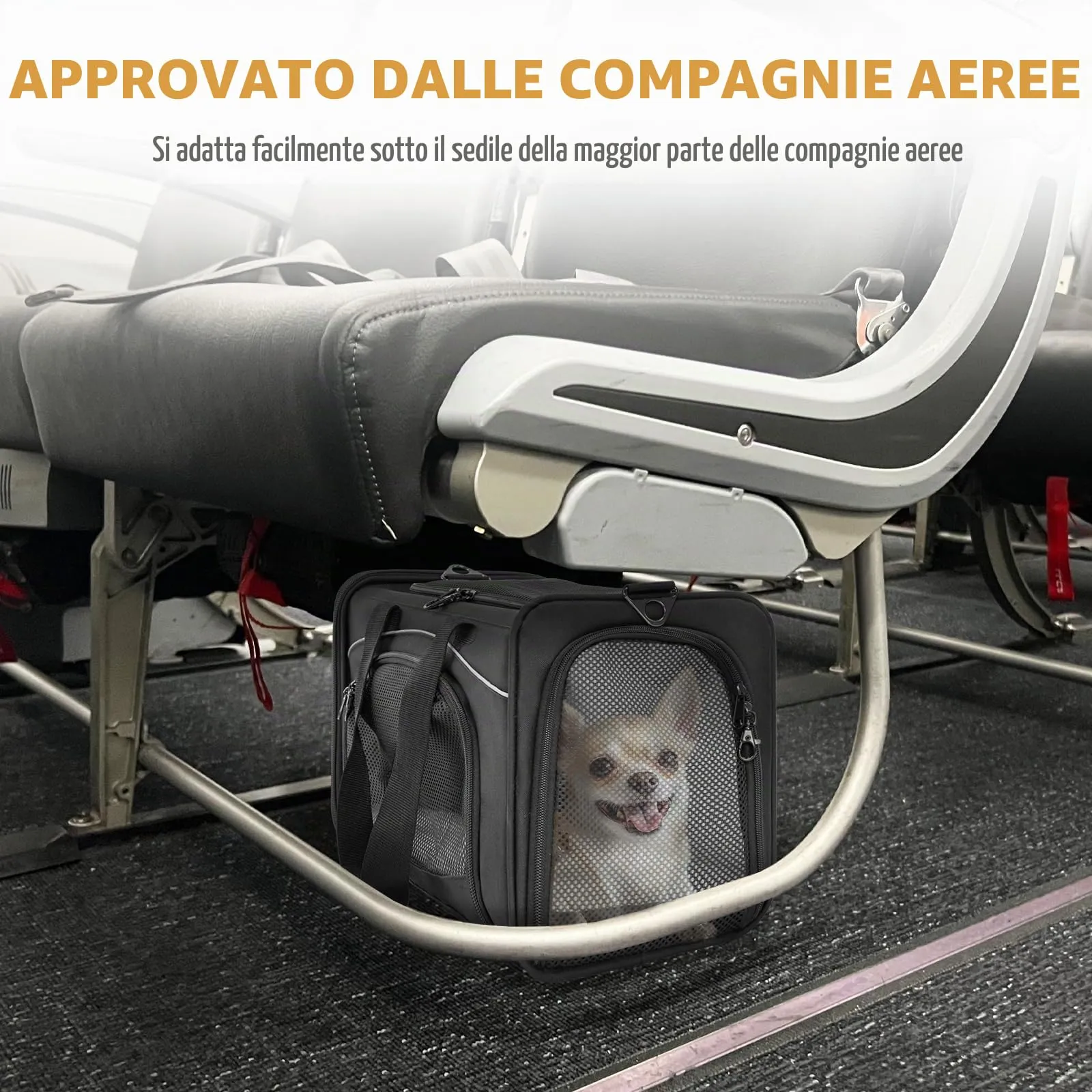 Petsfit Trasportino per gatti e cani di piccola taglia, pieghevole, approvato dalla compagnia aerea, nero - immagine 5