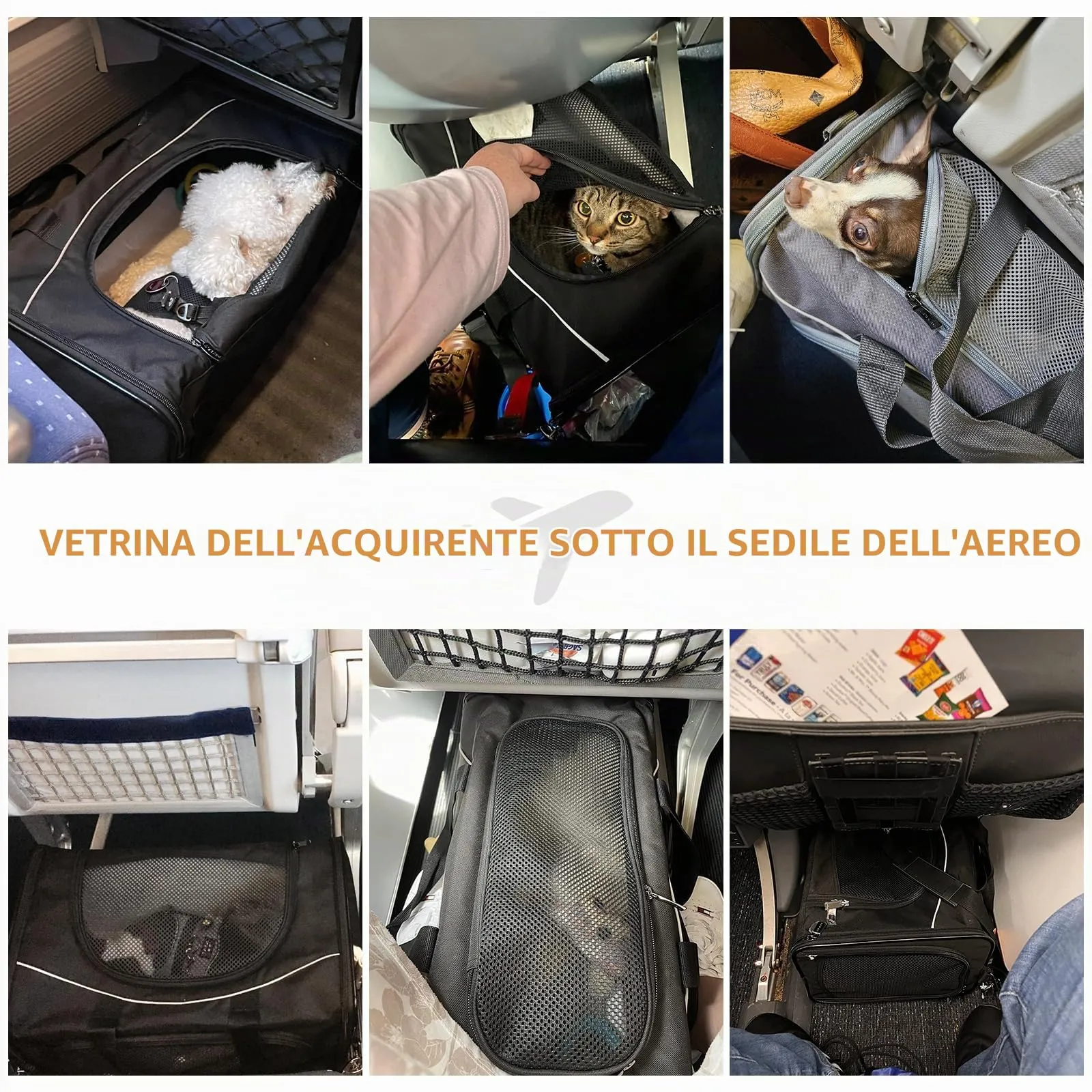Petsfit Trasportino per gatti e cani di piccola taglia, pieghevole, approvato dalla compagnia aerea, nero - immagine 6