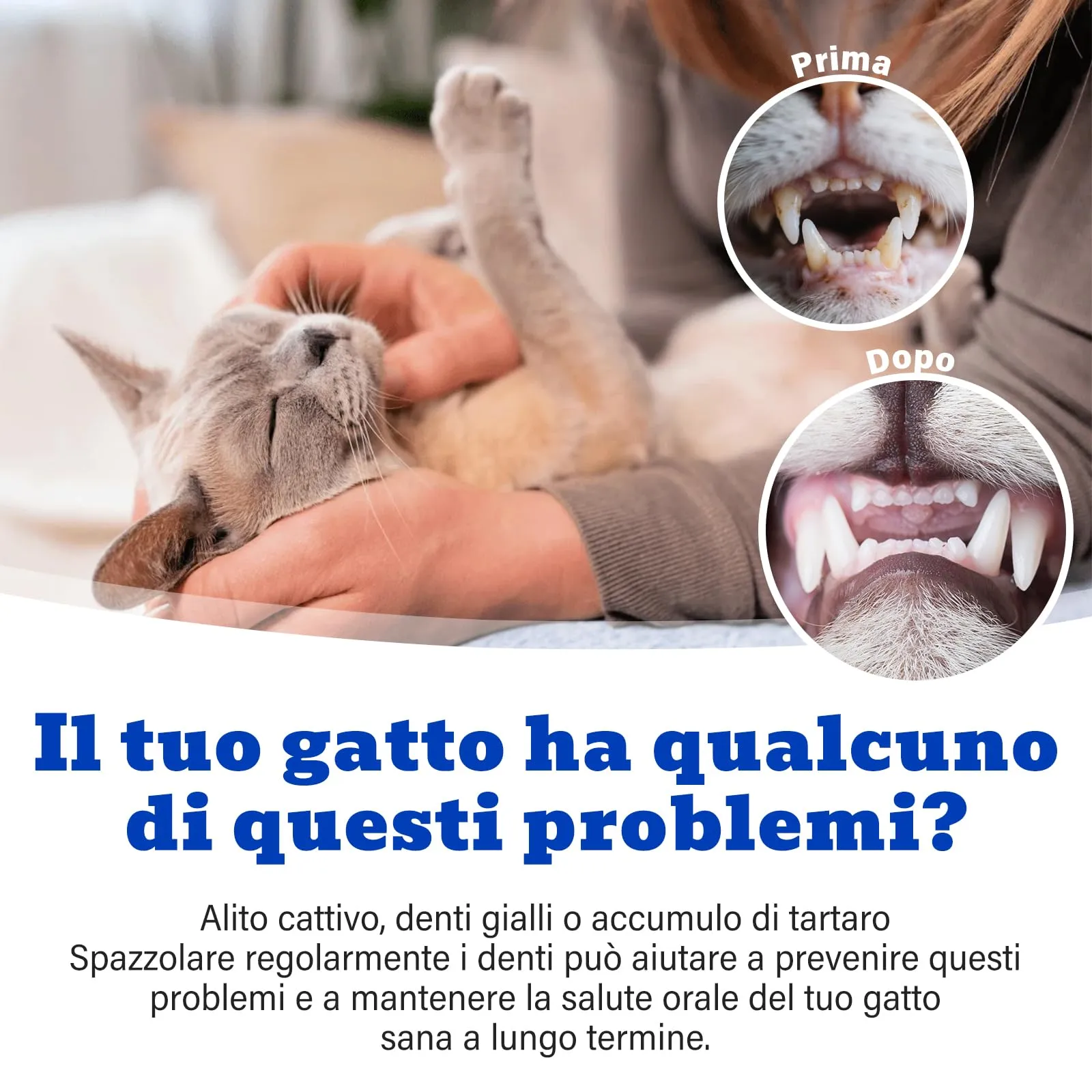 Oivolii Kit Dentifricio per Gatti al Gusto di Tonno senza Fluoro, 30 g - immagine 3