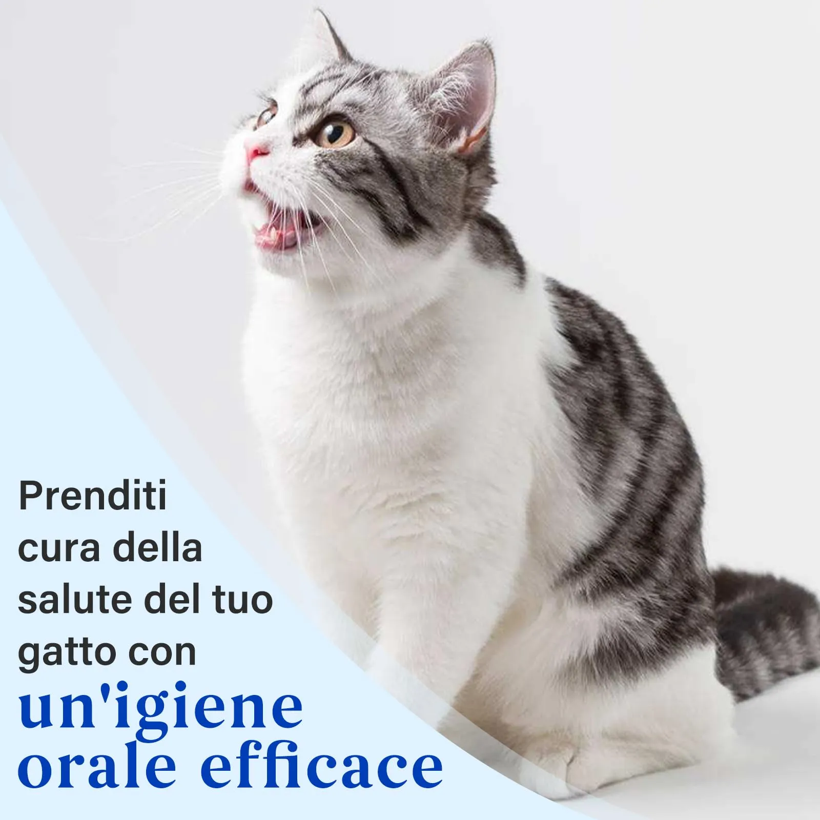 Oivolii Kit Dentifricio per Gatti al Gusto di Tonno senza Fluoro, 30 g - immagine 7