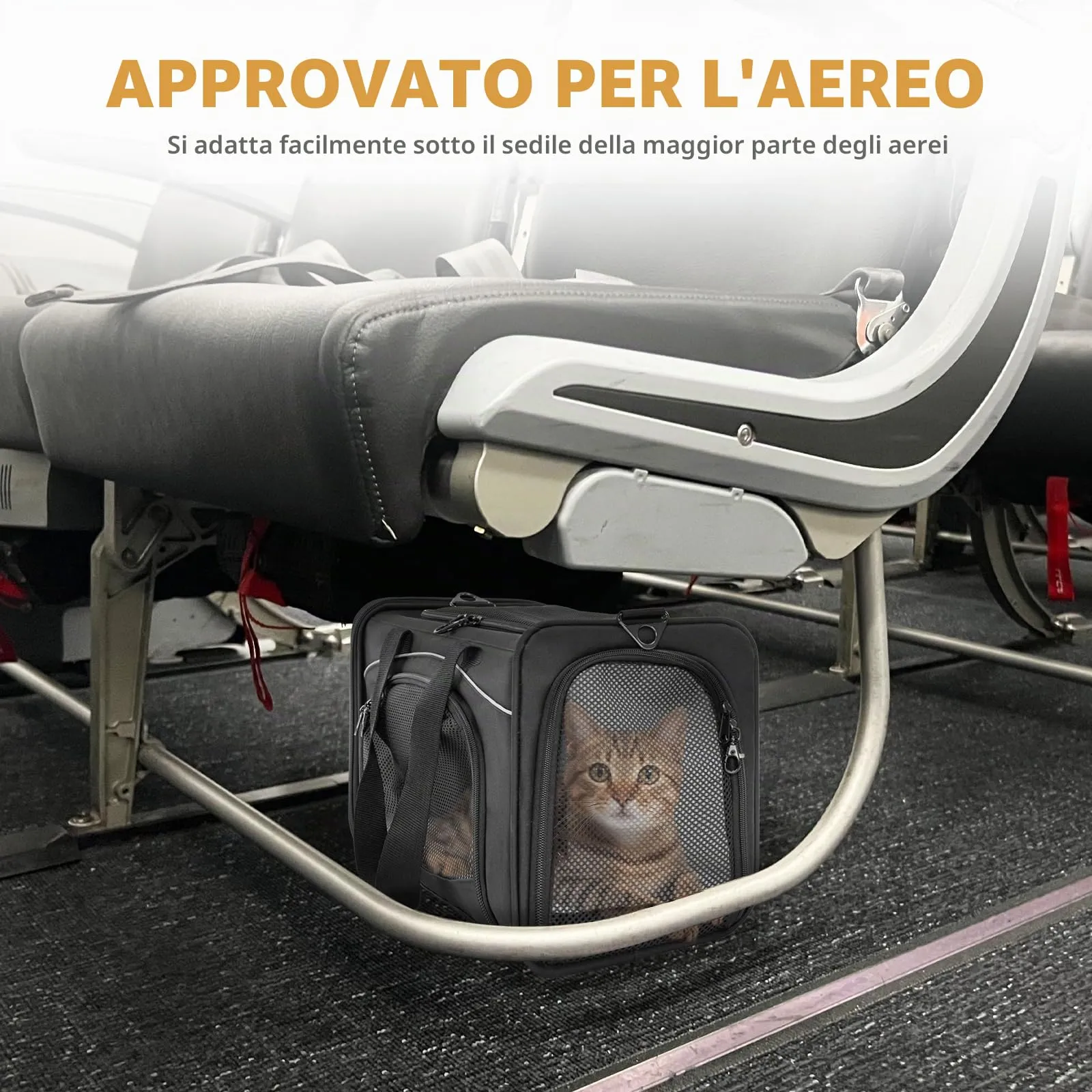 Petsfit Trasportino per Gatti e Cani Traspirante con 2 Cuscini Lavabili, Borsa da Viaggio per Aereo e Auto, S, Nero - immagine 5