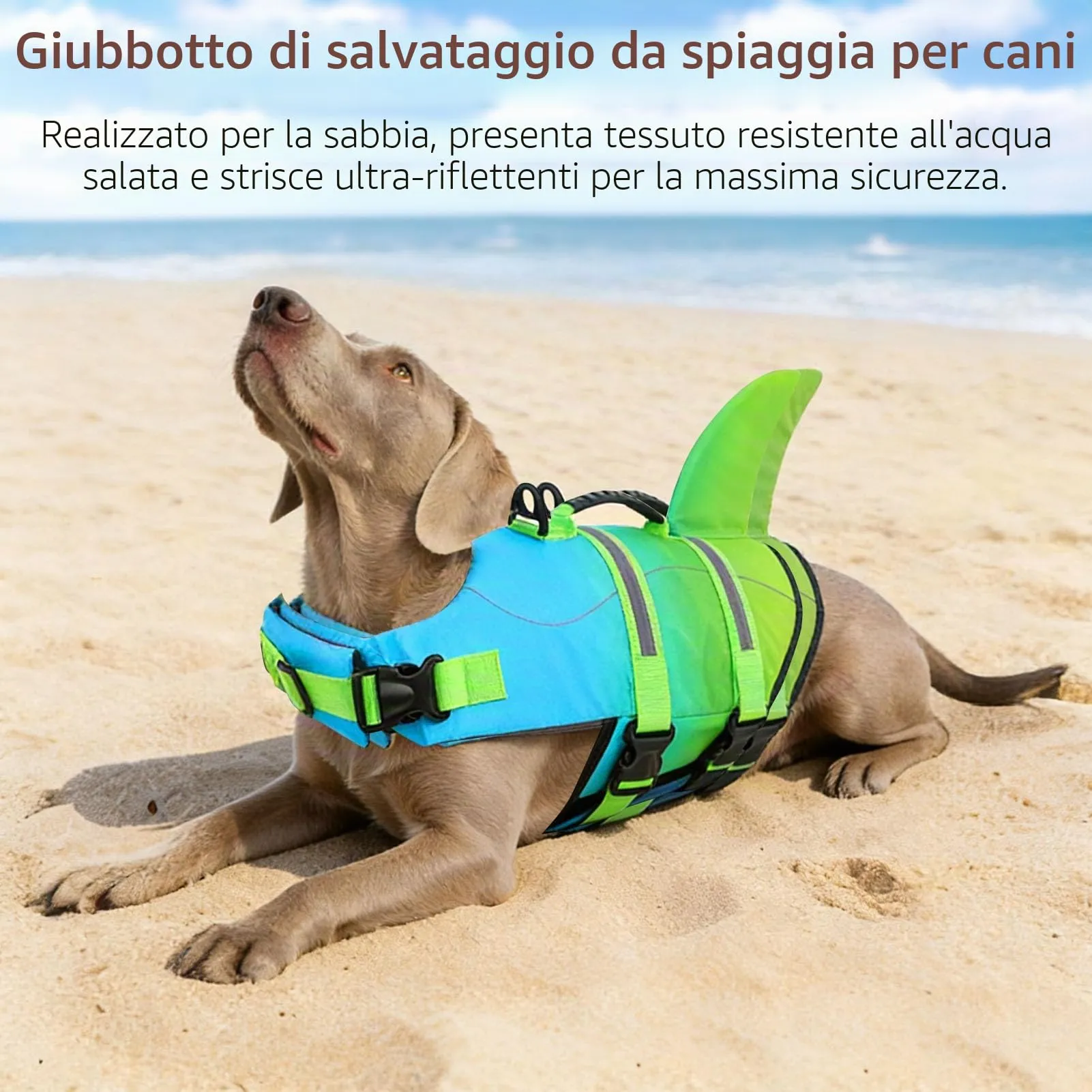 CITÉTOILE Giubbotto Salvagente per Cani in Ripstop, Blu Verde, S - immagine 4