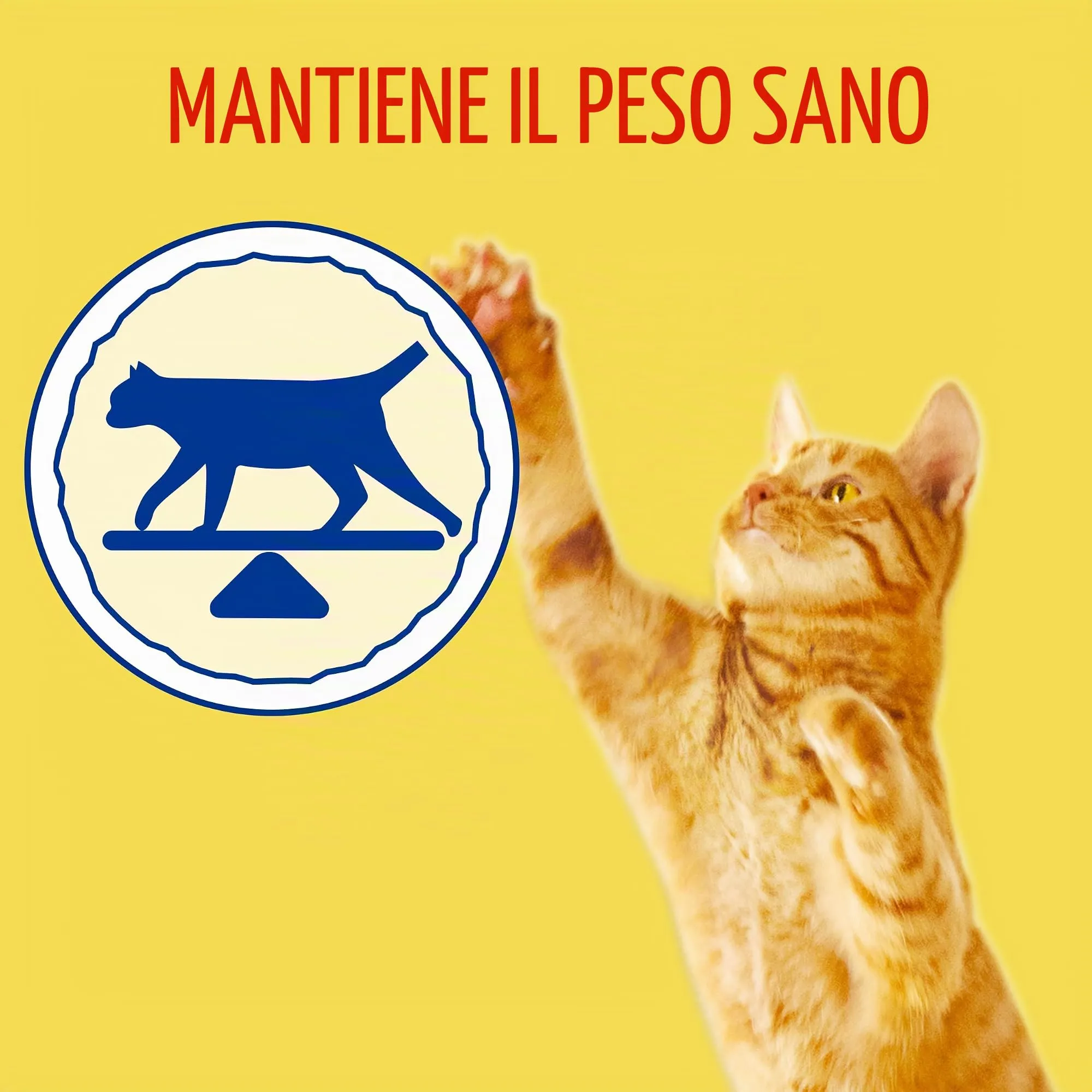 Purina Friskies Cibo per gatto Sterilizzato Adulto con tacchino e verdure, 4 x 3 kg - immagine 4