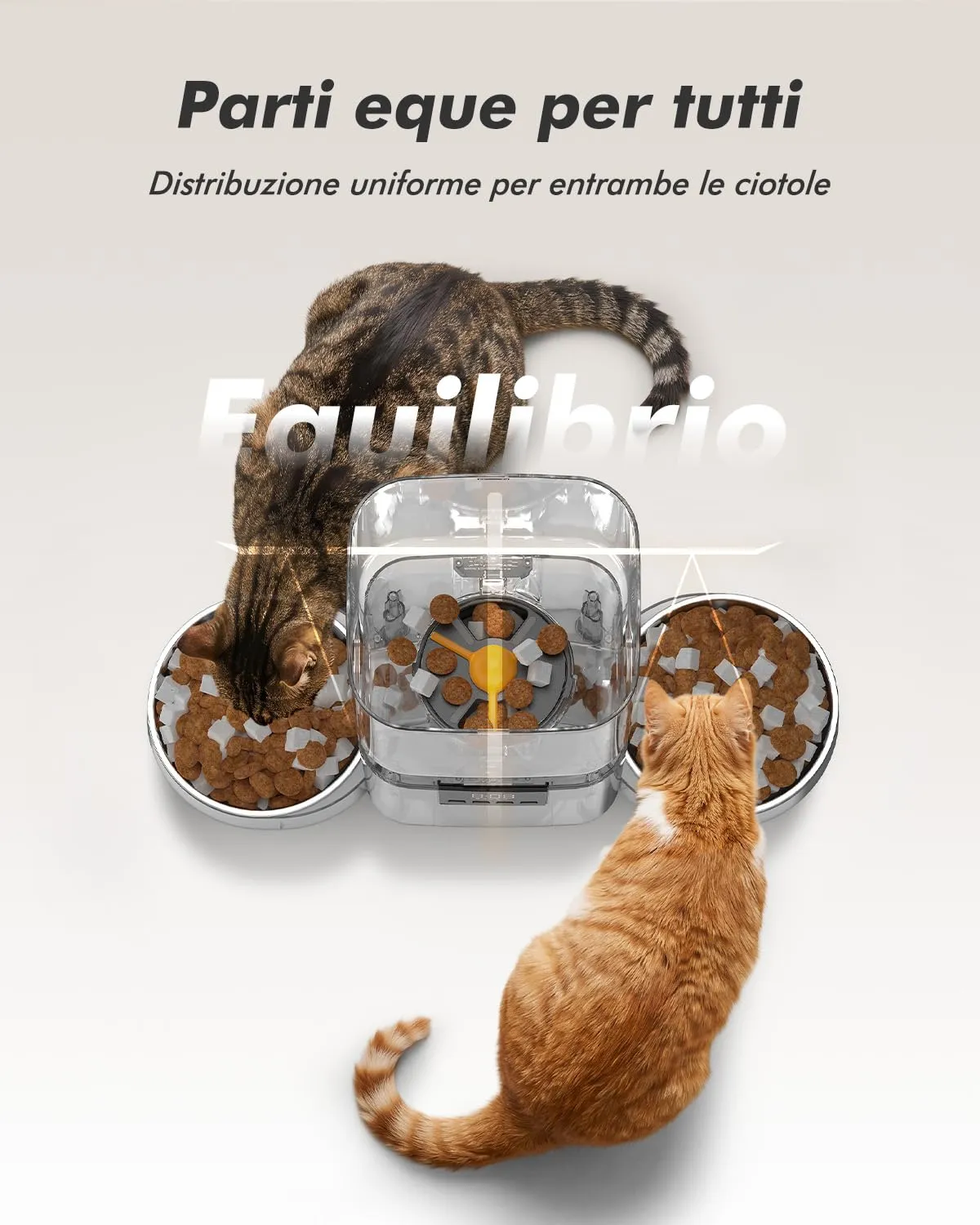Nityers Distributore Automatico Cibo Gatti con 2 Ciotole, 8L, QQ-N21 - immagine 2