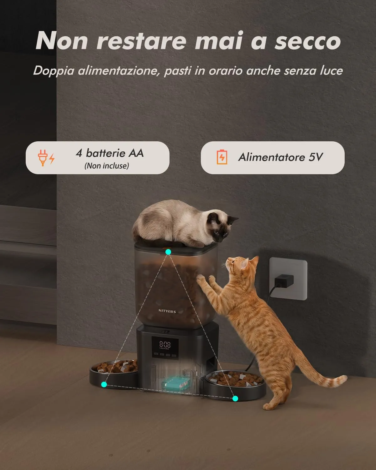Nityers Distributore Automatico Cibo Gatti con 2 Ciotole, 8L, QQ-N21 - immagine 9