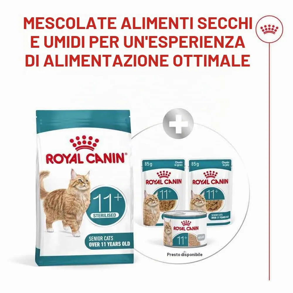 Royal Canin Ageing Sterilised 11+ Dry Cat Food, 4 kg - immagine 5