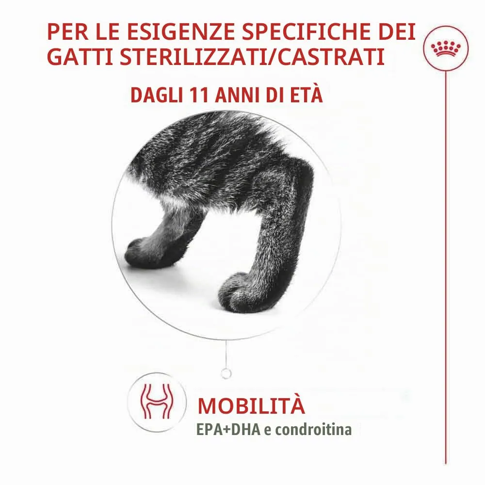 Royal Canin Ageing Sterilised 11+ Dry Cat Food, 2 kg - immagine 2