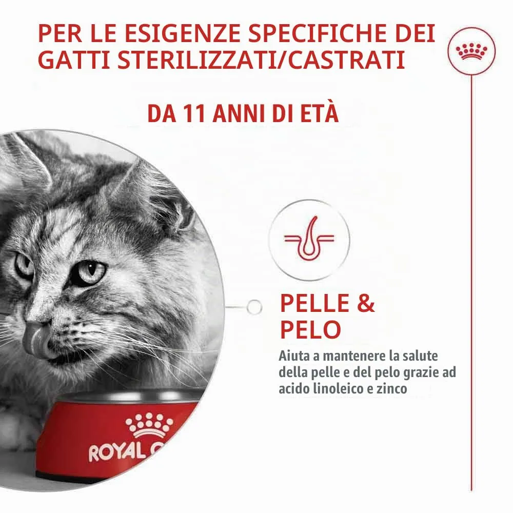 Royal Canin Ageing Sterilised 11+ Dry Cat Food, 2 kg - immagine 3
