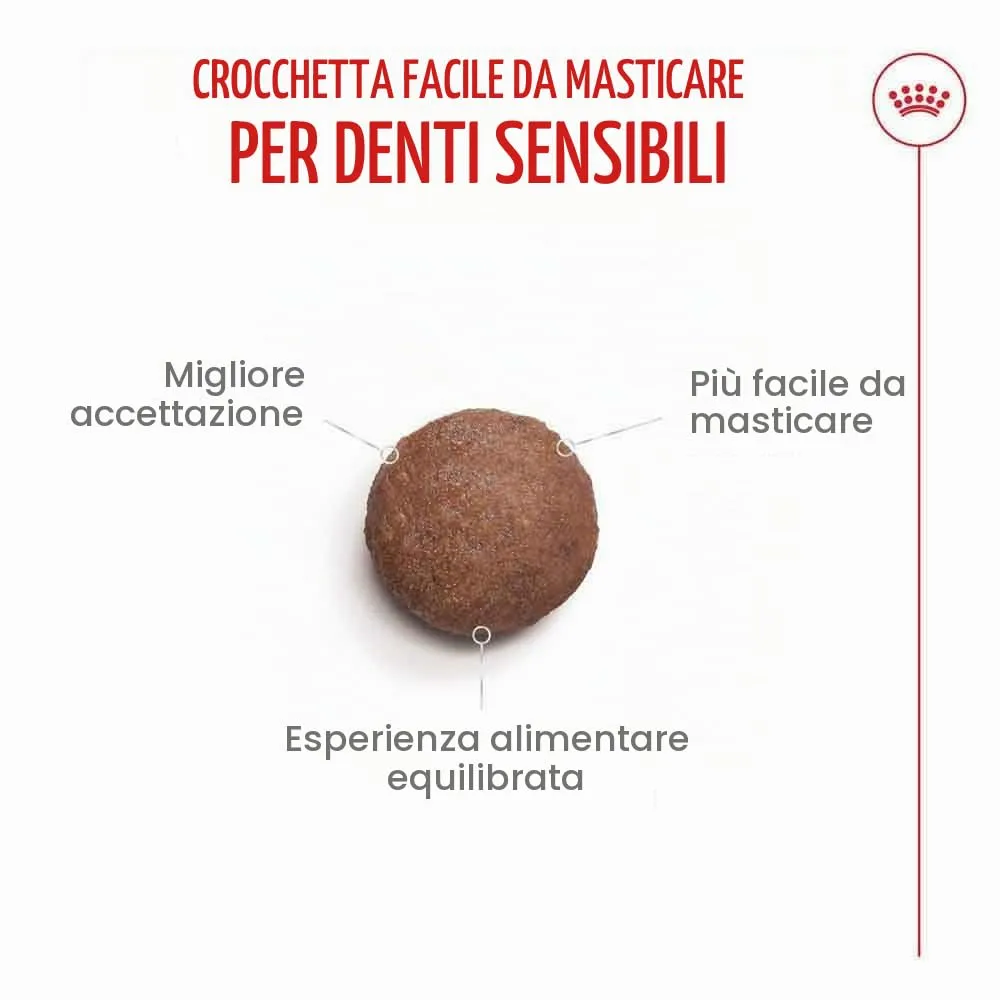 Royal Canin Ageing Sterilised 11+ Dry Cat Food, 2 kg - immagine 4