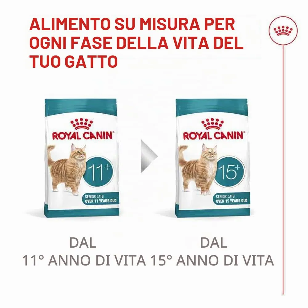 Royal Canin Ageing Sterilised 11+ Dry Cat Food, 2 kg - immagine 6