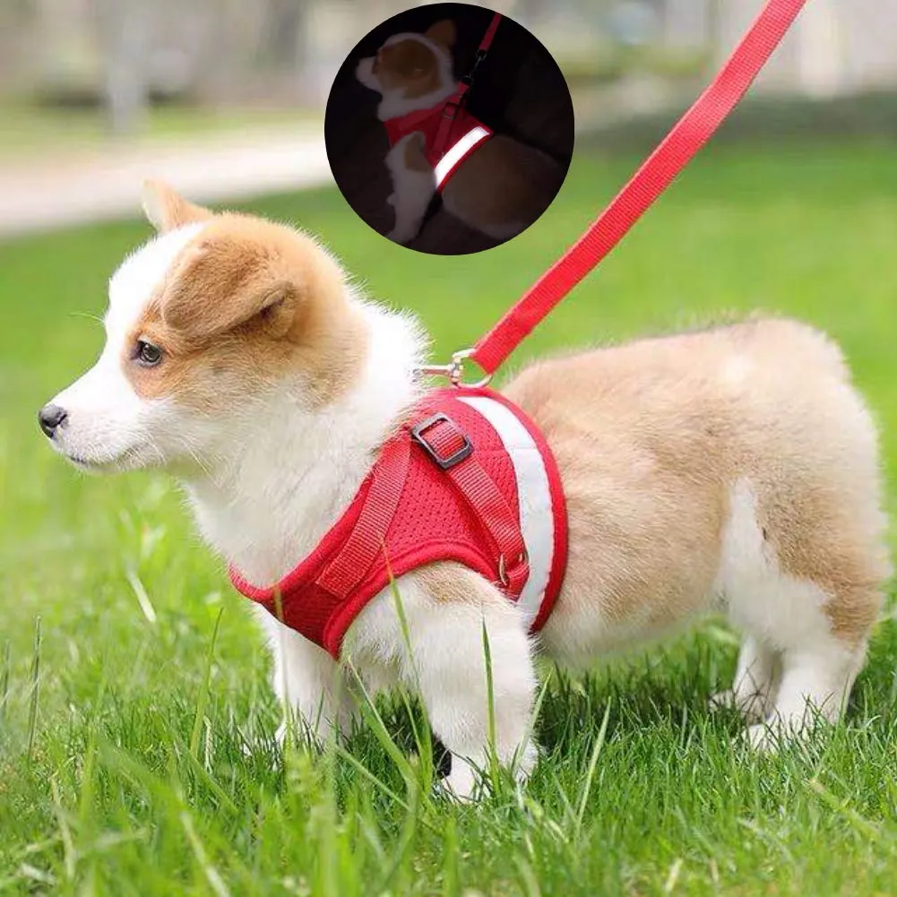 FEimaX Set Imbracatura e Guinzaglio per Cani e Gatti, Imbottita, Traspirante, Riflettente, Taglia M (Torace 35-40cm), Rosso - immagine 7