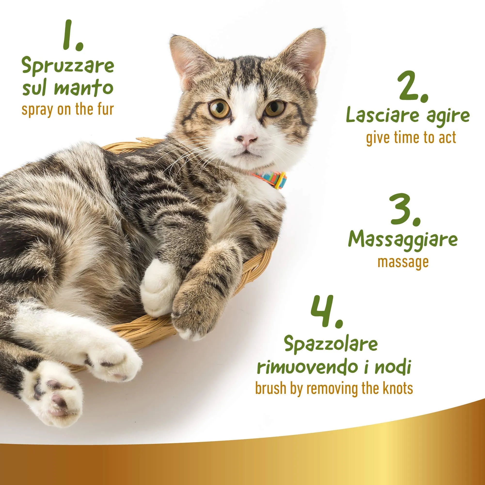 101 love for pet Shampoo a Secco Naturale e Vegetale per Gatto, Linea 101 (250ml) - immagine 5