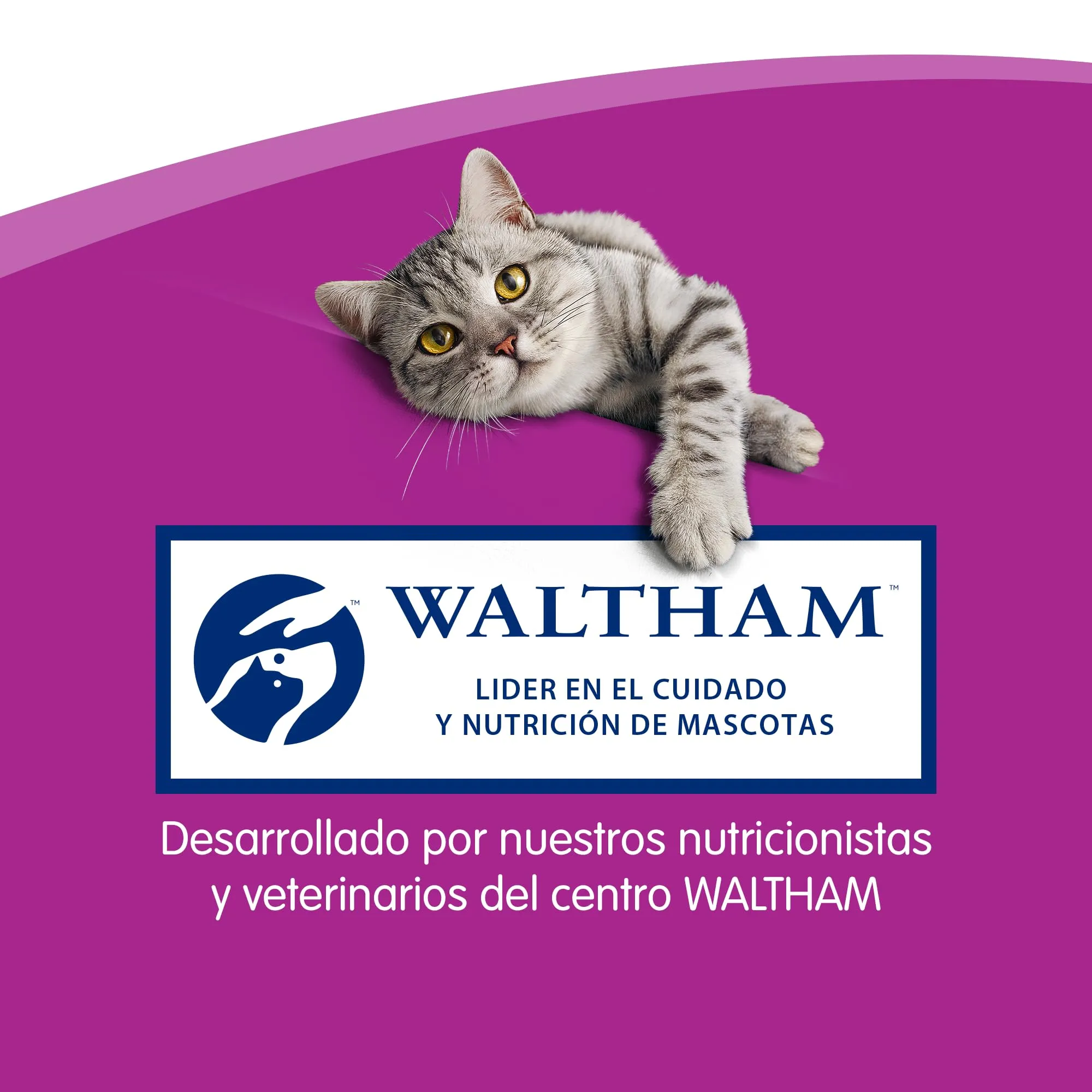 Whiskas Snack per Gatto, Sticks al Salmone, 28 Confezioni da 18g - immagine 11