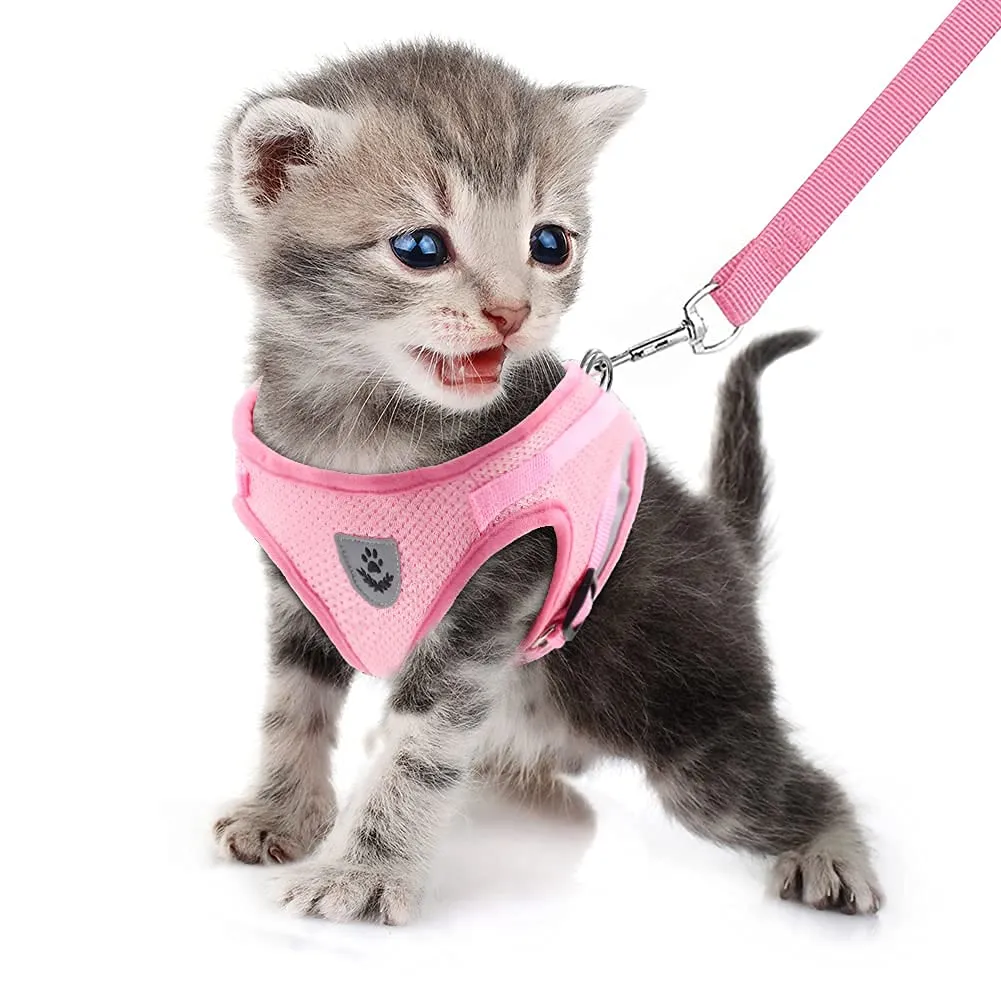 FEimaX Set Imbracatura e Guinzaglio per Cani, Gatti e Cuccioli, Imbottita, Traspirante, Riflettente, S (Torace 30-34cm) - immagine 4