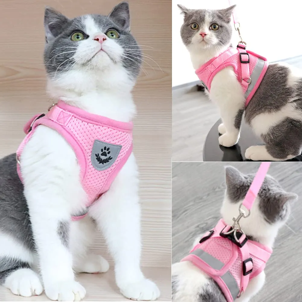 FEimaX Set Imbracatura e Guinzaglio per Cani, Gatti e Cuccioli, Imbottita, Traspirante, Riflettente, S (Torace 30-34cm) - immagine 6