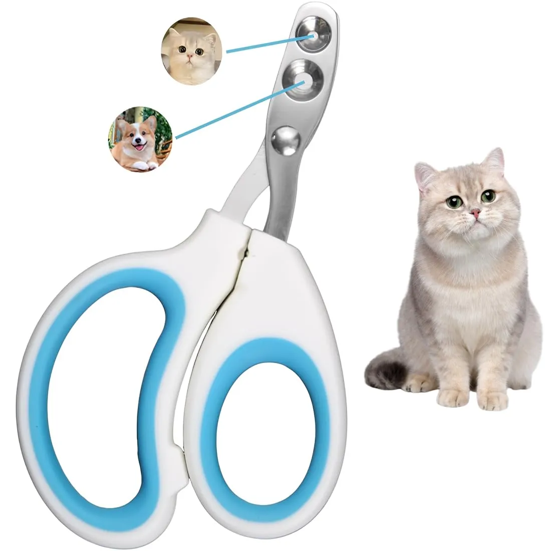 OIXEYA Tagliaunghie Professionale per Gatti in Acciaio Inossidabile con Doppio Foro di Posizionamento, Blu - immagine 1