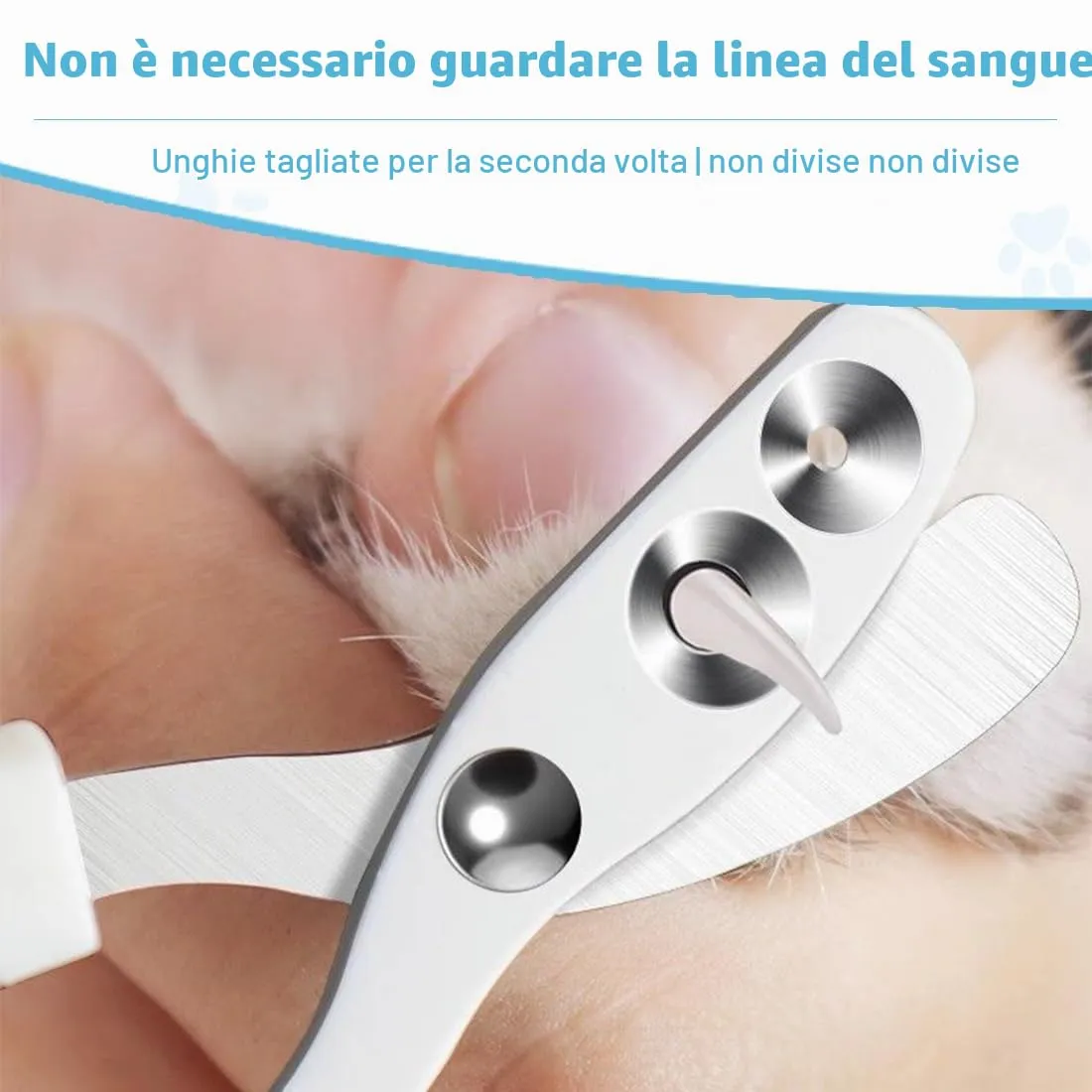 OIXEYA Tagliaunghie Professionale per Gatti in Acciaio Inossidabile con Doppio Foro di Posizionamento, Blu - immagine 4