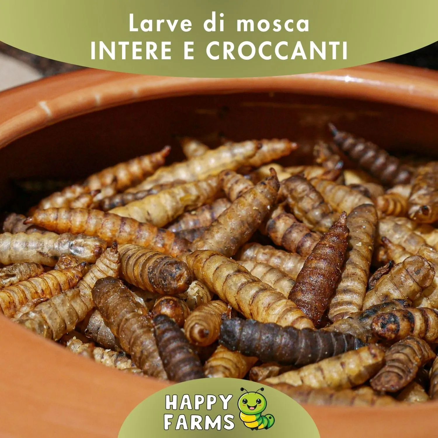 BSF Cycle Larve di mosca soldato essiccate, 5 kg - immagine 6